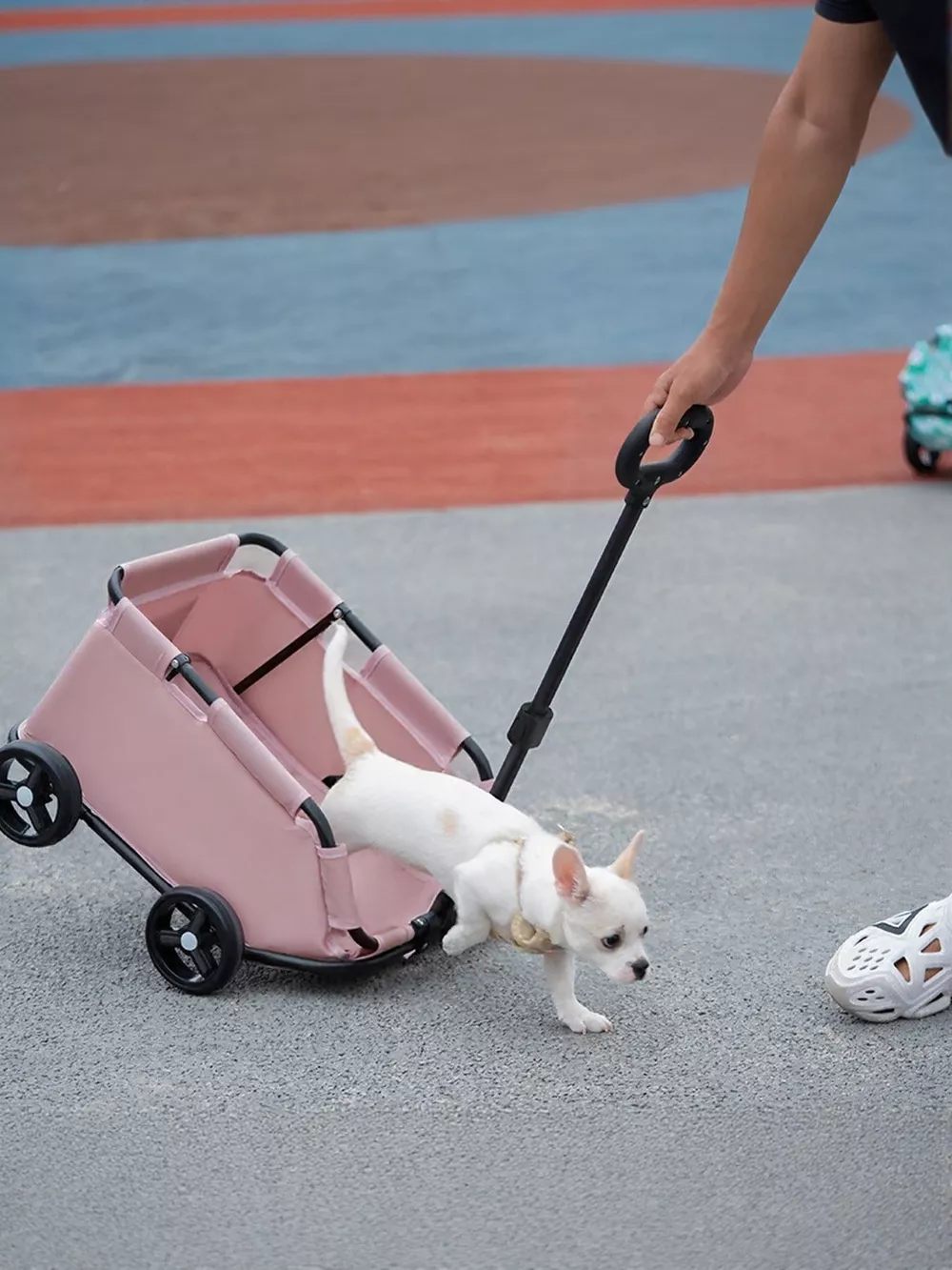 Portable Folding Pet Stroller Wagon, image 3