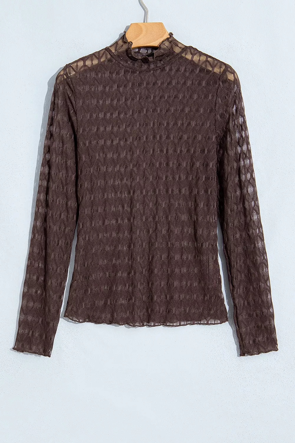 Sheer Textured Lace Stand Neck Long Sleeve Top, image 3