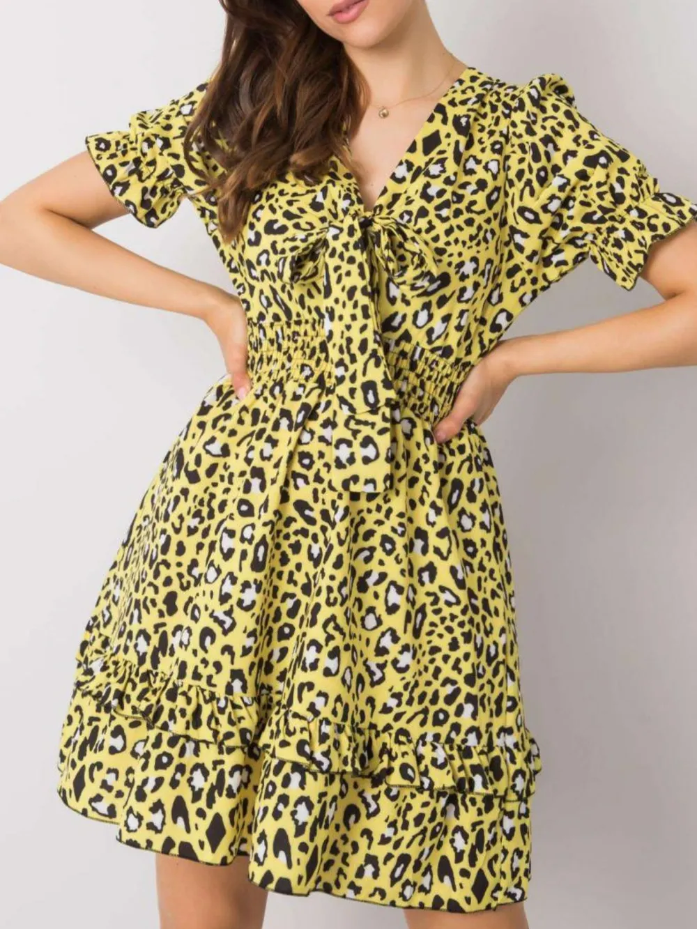 Leopard Print Tie Front Short Sleeve Mini Dress