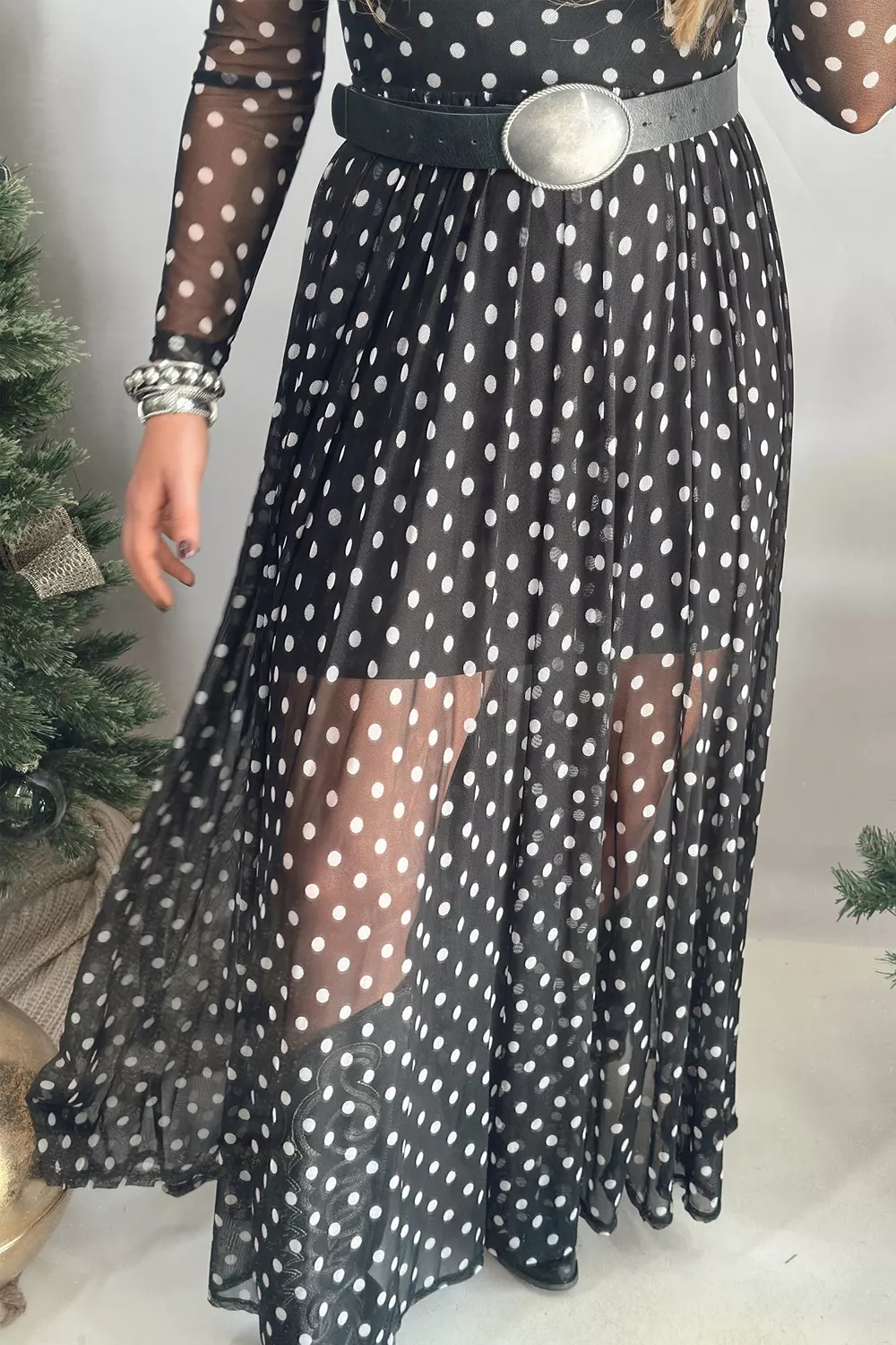 Polka Dot Sheer Mesh Long Sleeve Maxi Dress, image 3