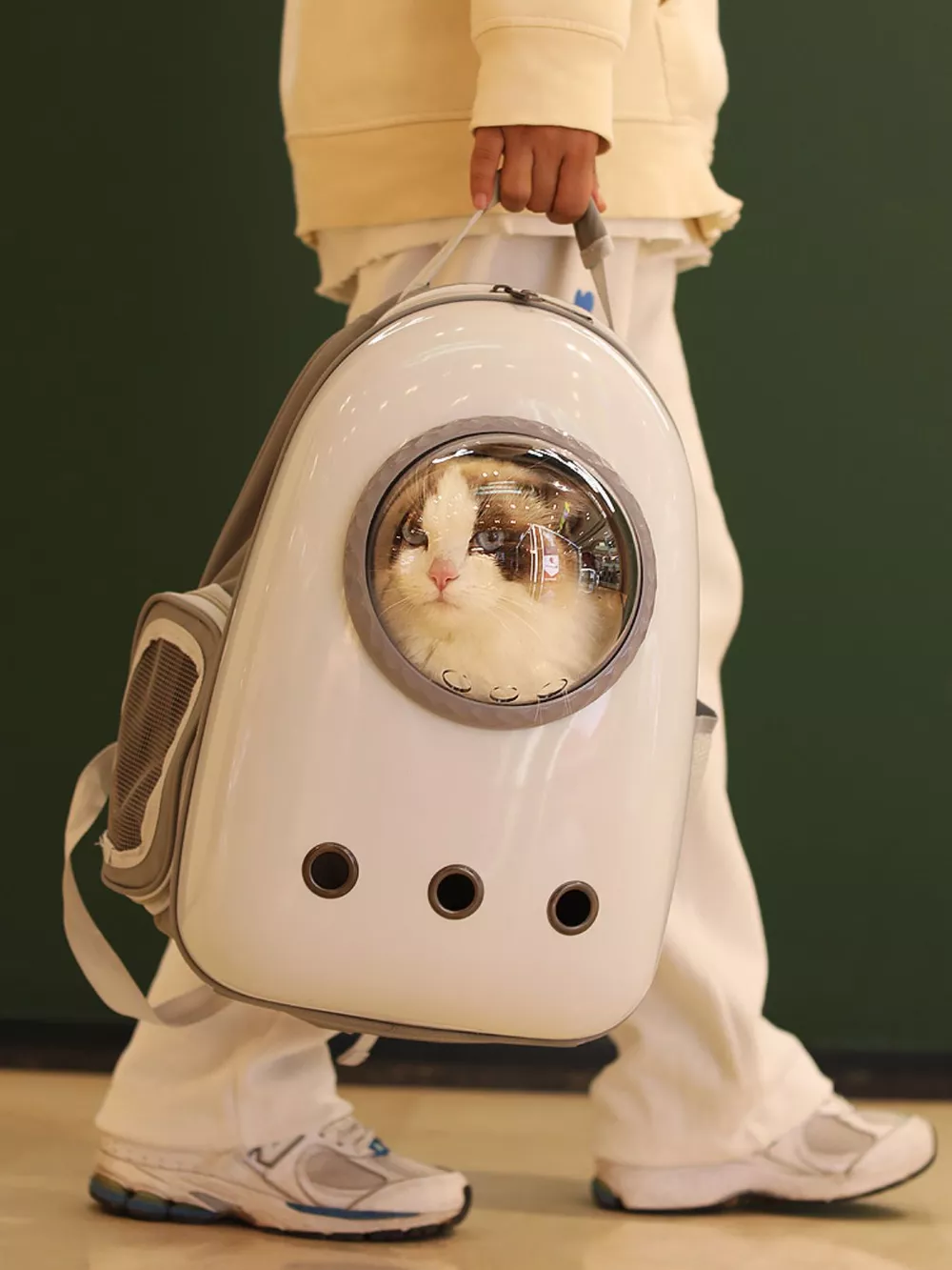 Space Capsule Transparent Pet Carrier Backpack, image 6