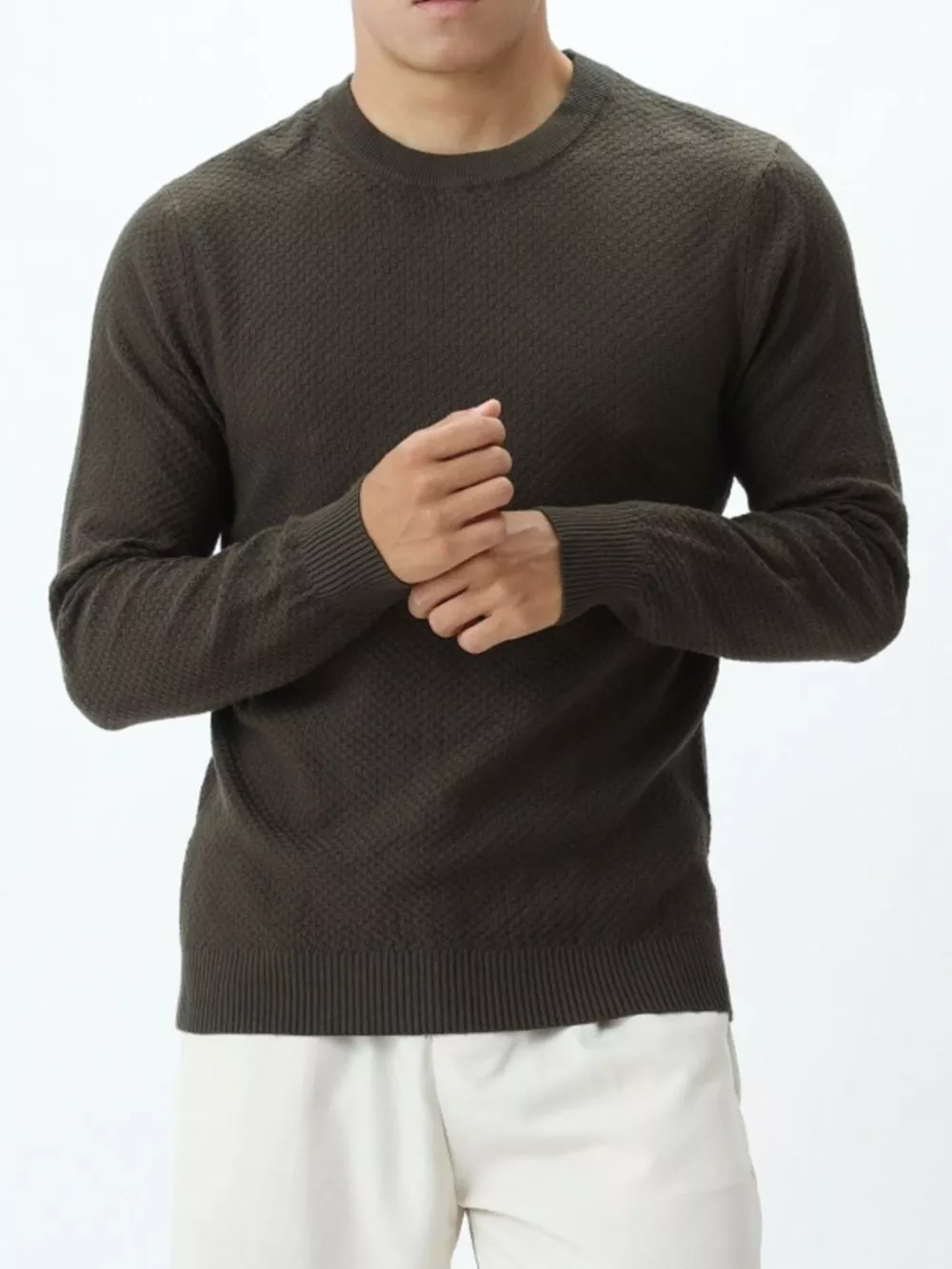 Men's Plus Size Textured Crew Neck Sweater, image 2