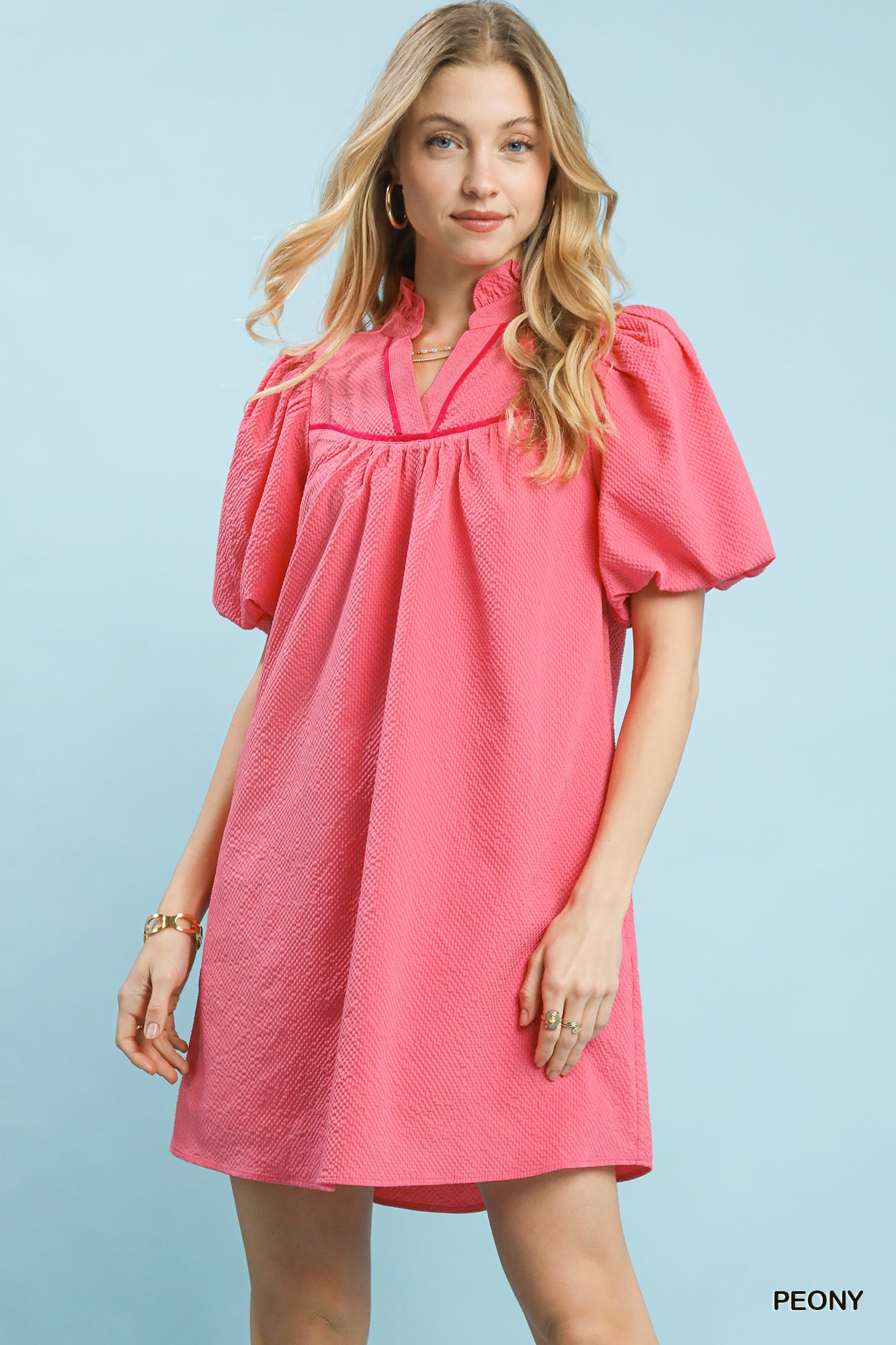 Seersucker Puff Sleeve Dress