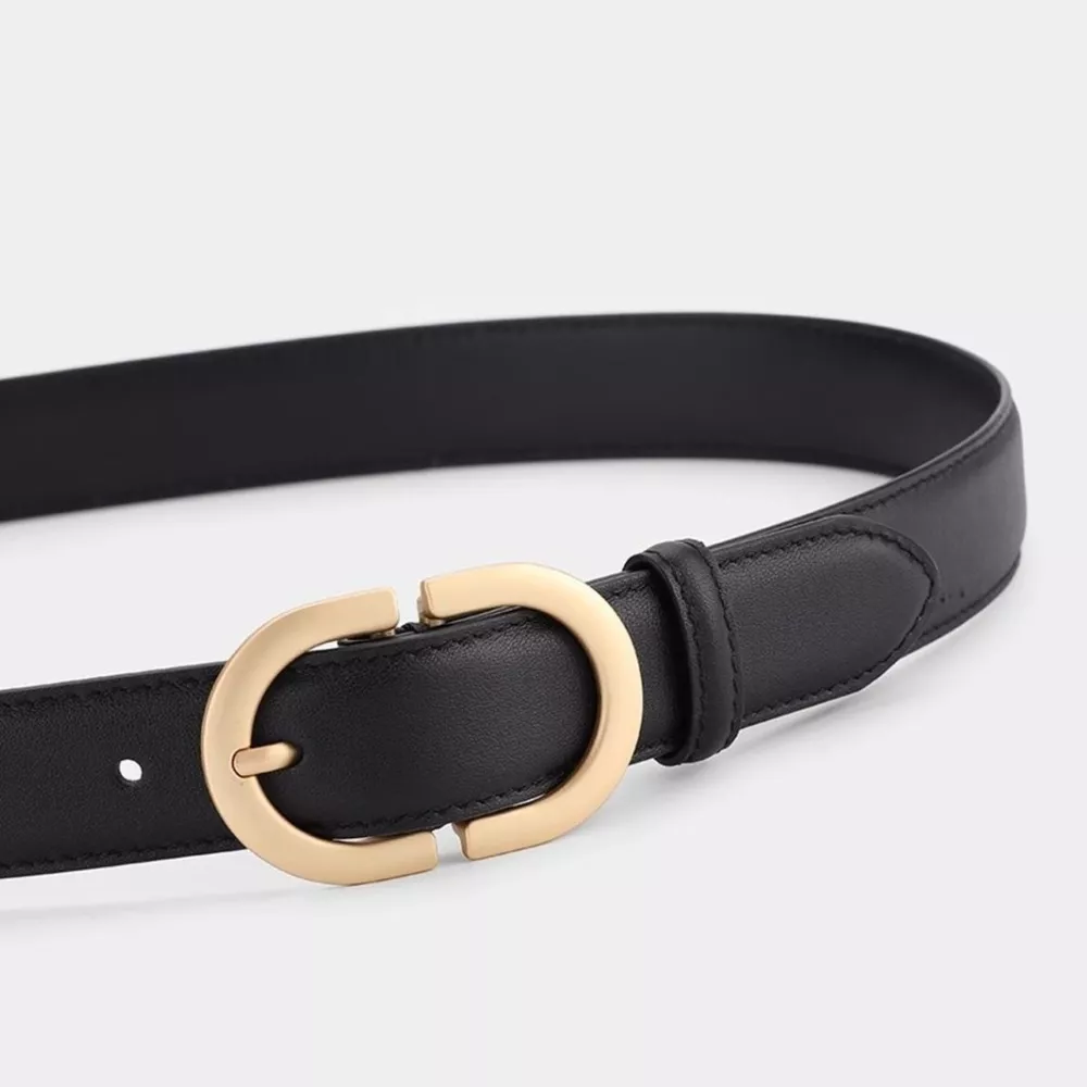 Gold Buckle Leather Belt, image 4