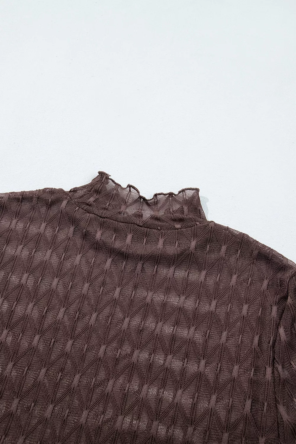 Sheer Textured Lace Stand Neck Long Sleeve Top, image 6