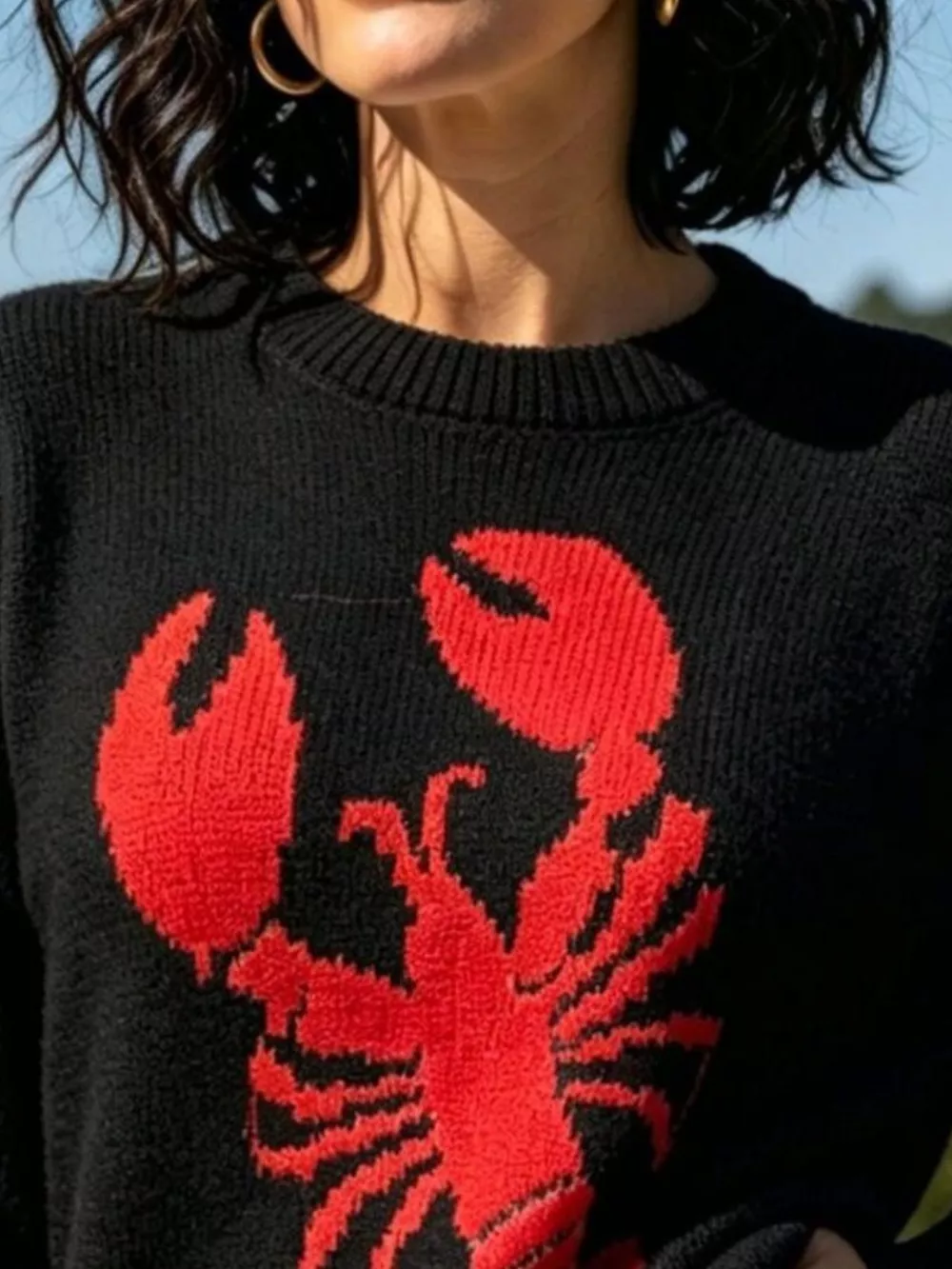 Lobster Graphic Crew Neck Sweater, image 7