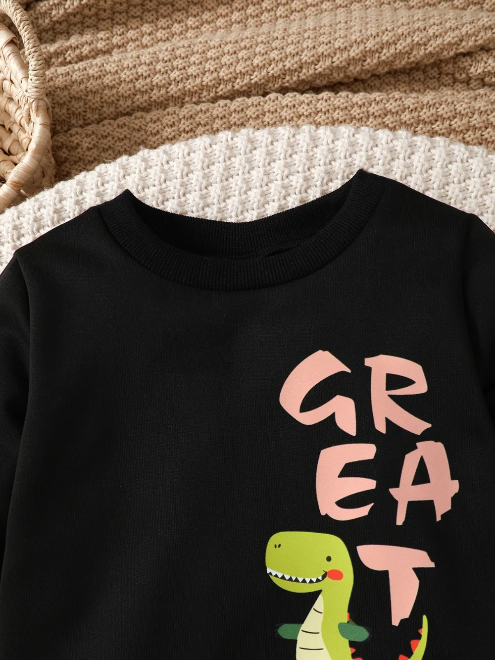 Children's Dinosaur Graphic Sweatshirt and Pants Set, image 4
