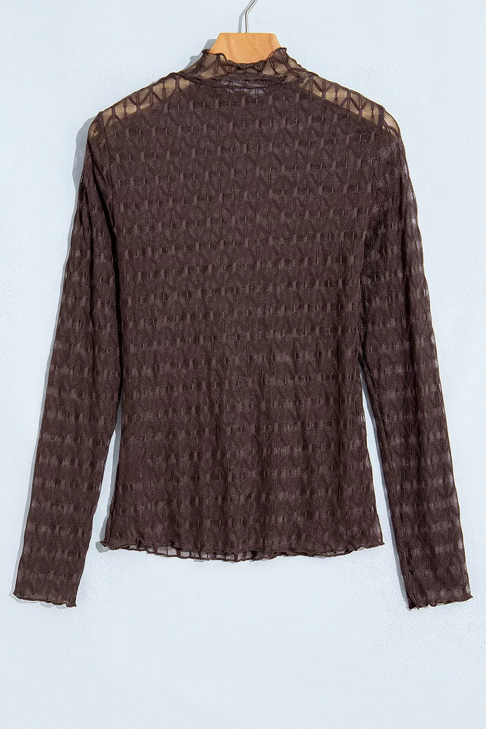 Sheer Textured Lace Stand Neck Long Sleeve Top, image 4