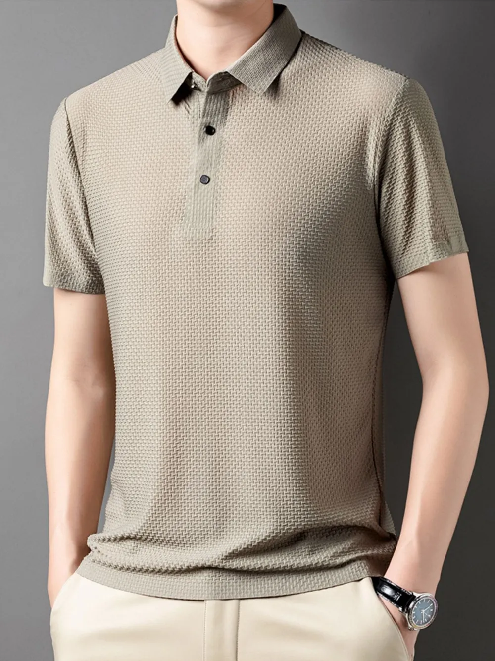 Men's Plus Size Textured Short Sleeve Polo, image 2
