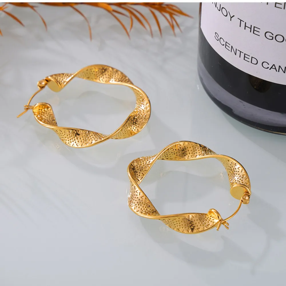 Titanium Steel Twisted Earrings, image 6