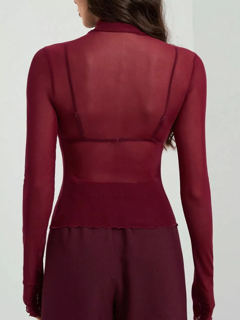 Sheer Mesh Turtleneck Top, image 5