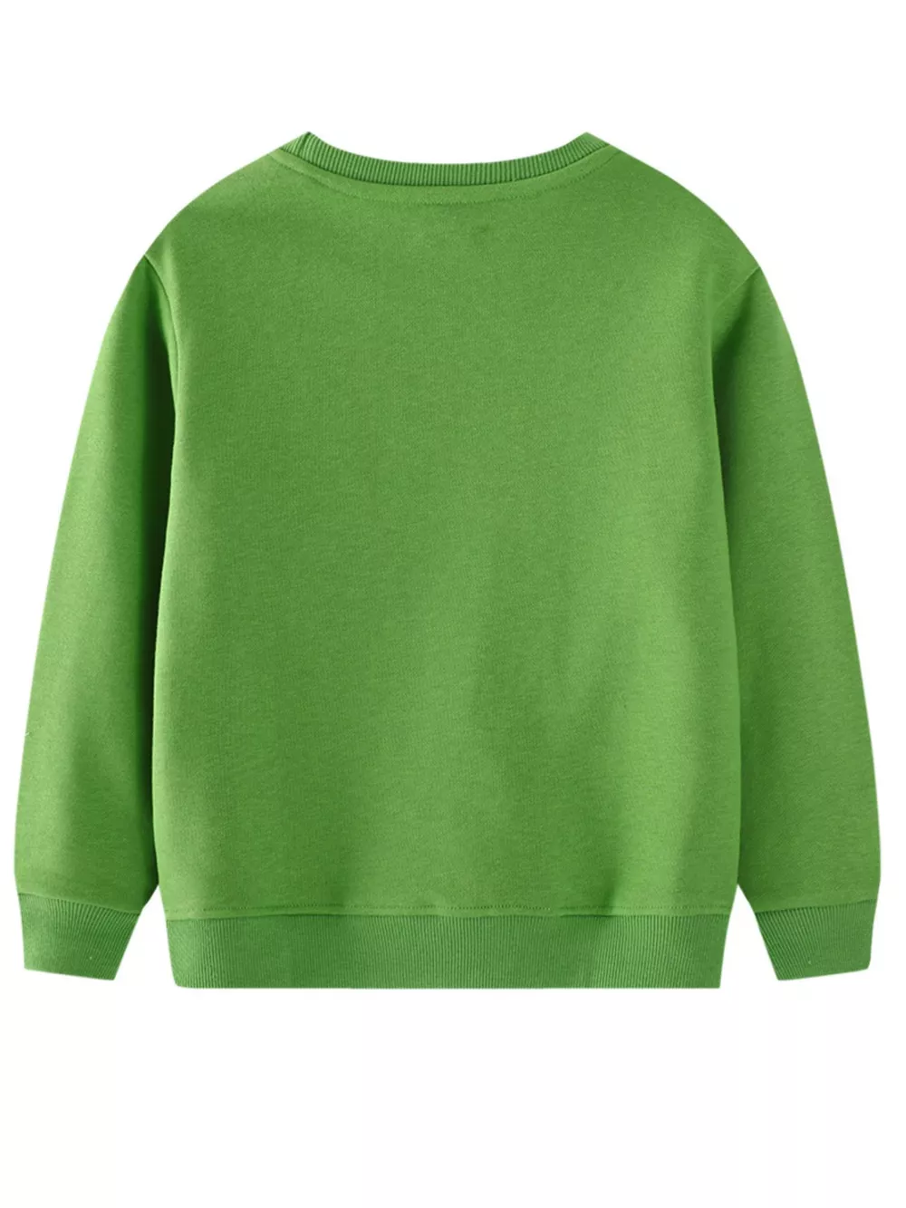Children's Dinosaur Embroidered Crew Neck Sweatshirt, image 2