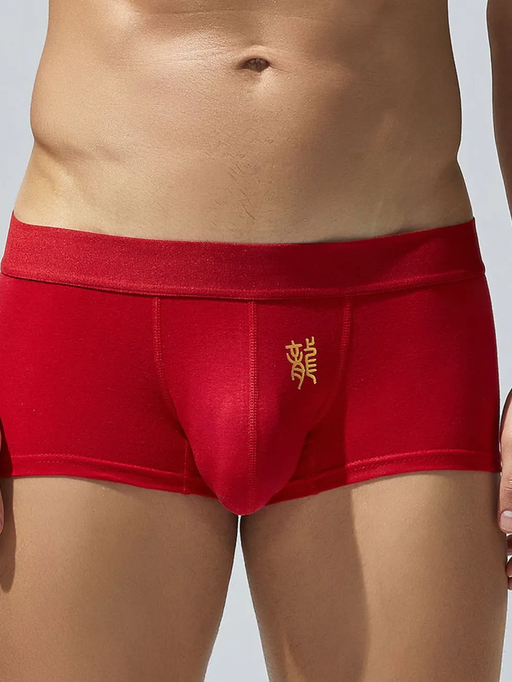 Men's Elastic Panty, image 5