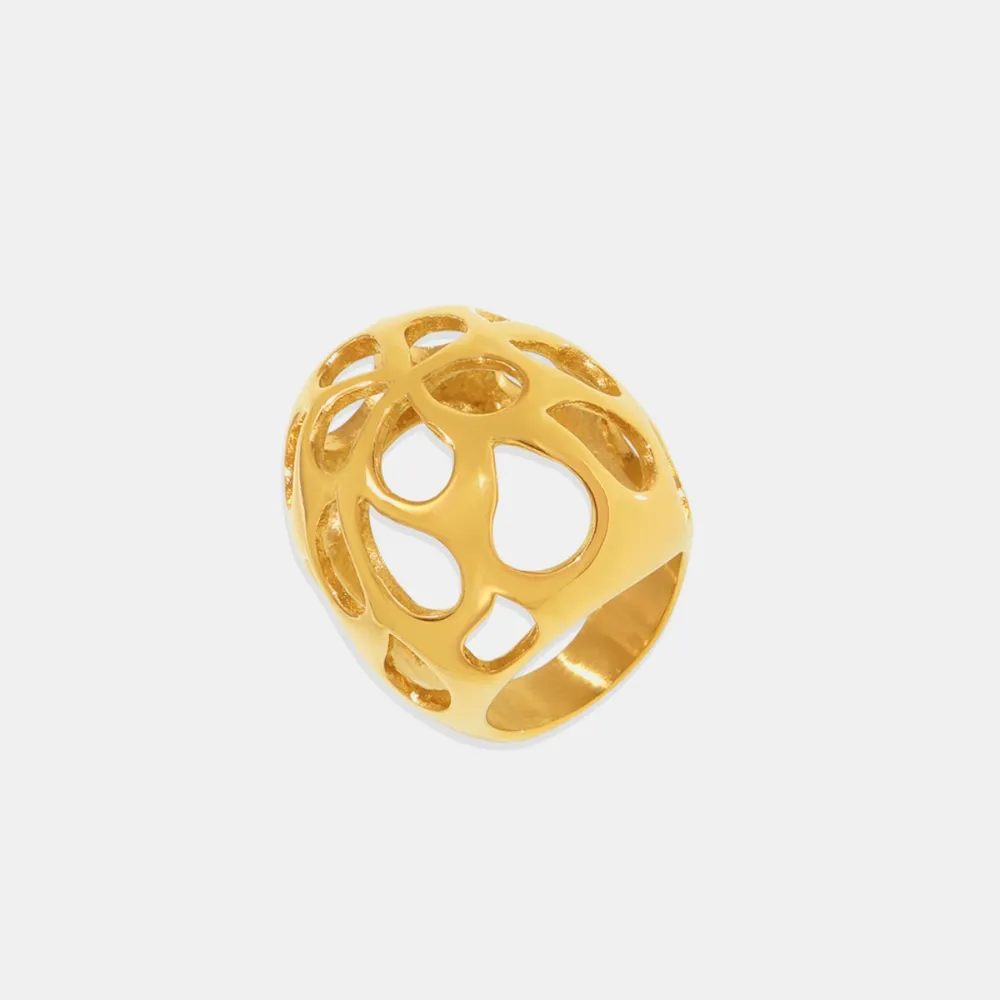 Stainless Steel Cutout Ring, image 5