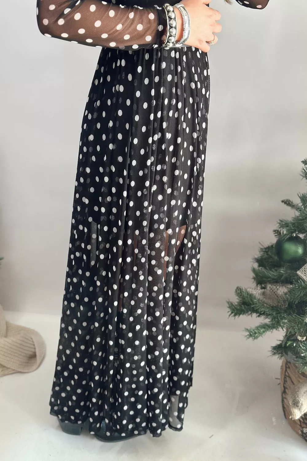 Polka Dot Sheer Mesh Long Sleeve Maxi Dress, image 2