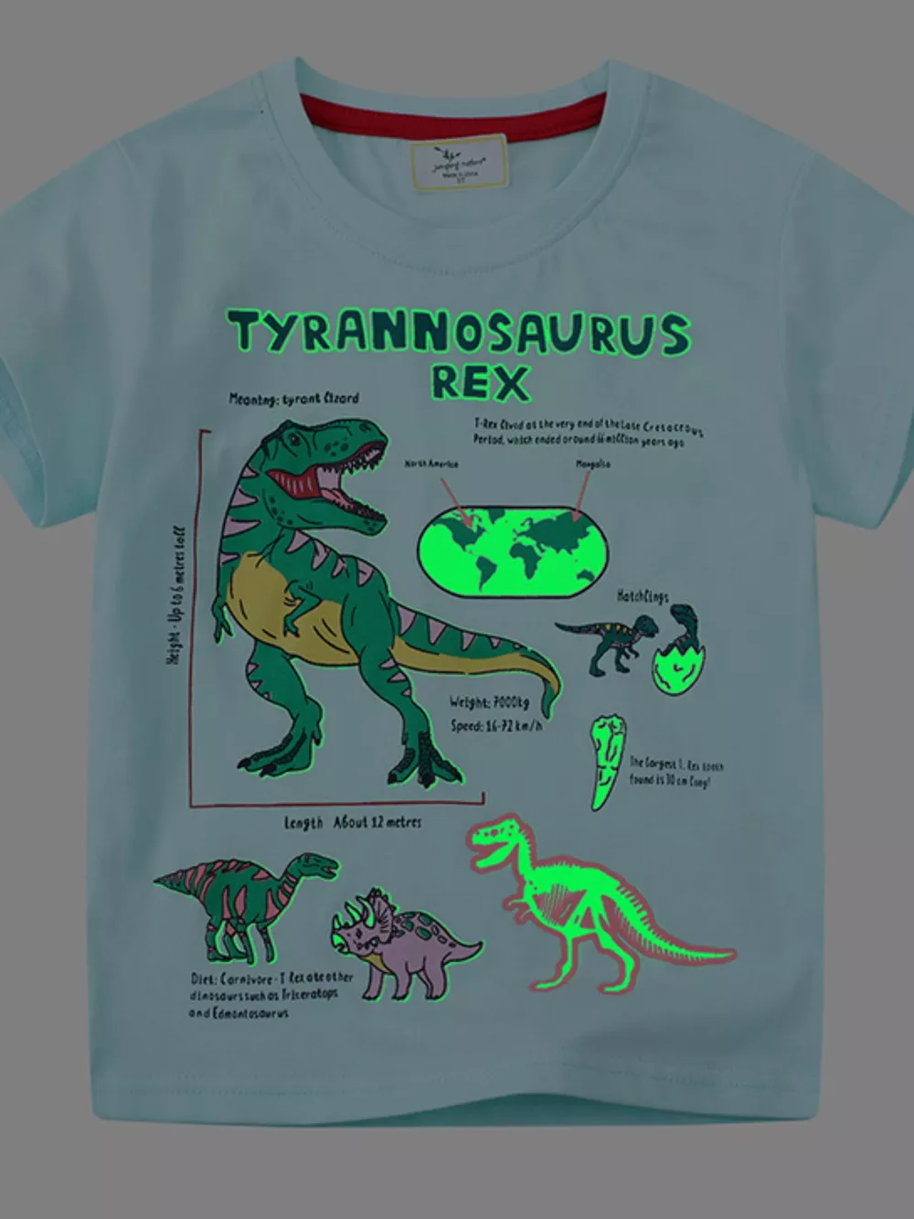 Children's Dinosaur Graphic Short Sleeve T-Shirt, image 4