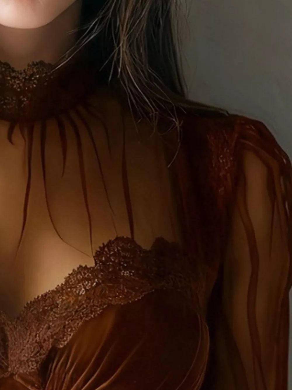 Lace Trim Velvet Sheer Sleeve Blouse, image 17
