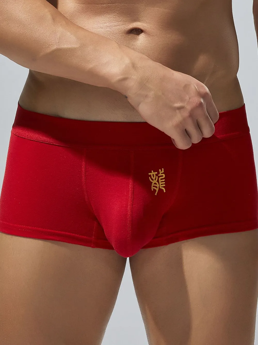 Men's Elastic Panty, image 3