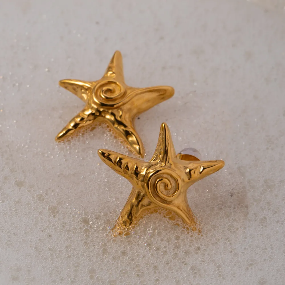 Stainless Steel Star Shape Earrings, image 4