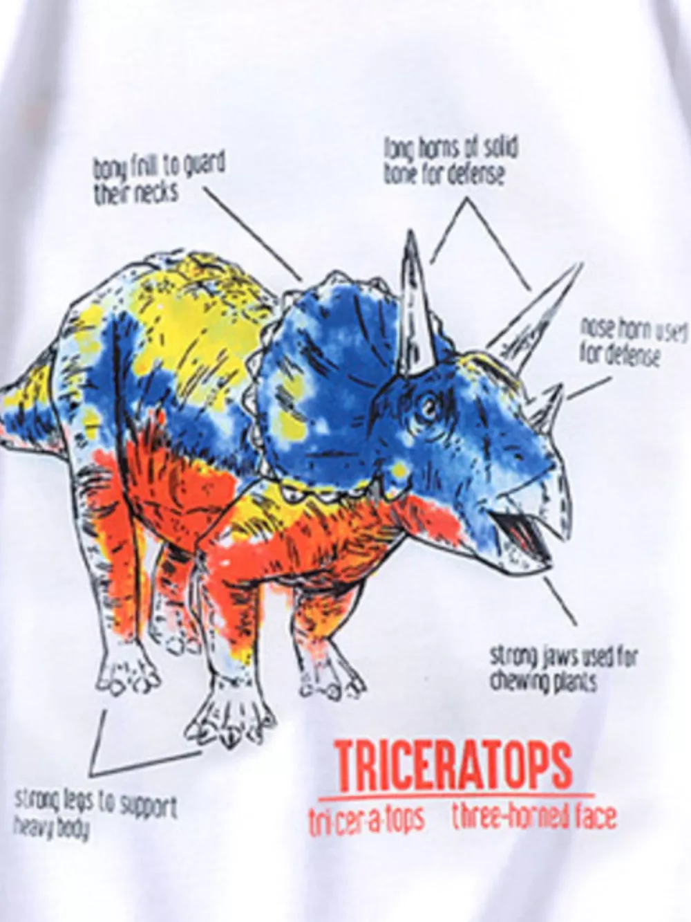 Children's Dinosaur Triceratops Graphic T-Shirt, image 3