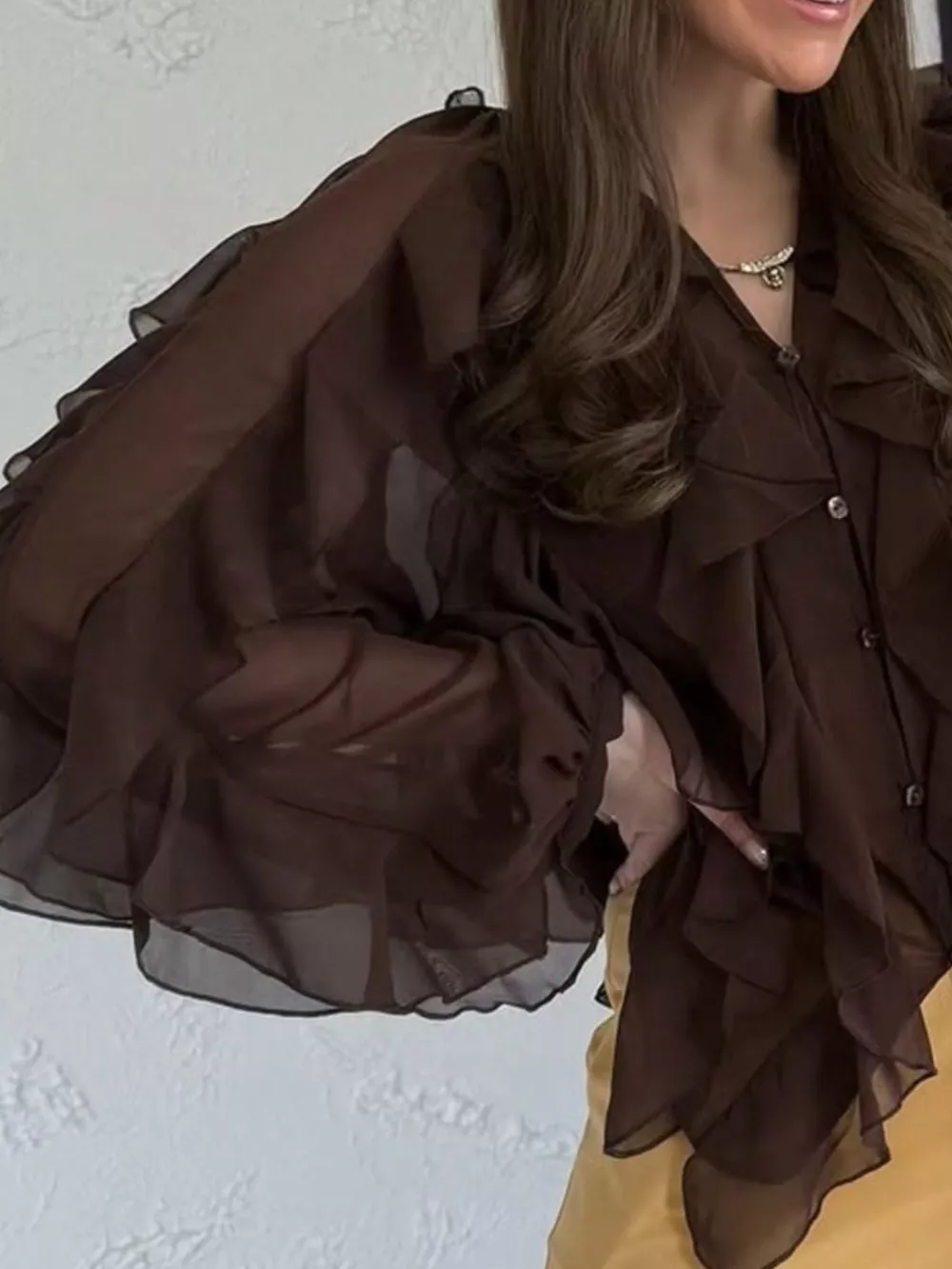 Ruffled Sheer Long Sleeve Blouse, image 30