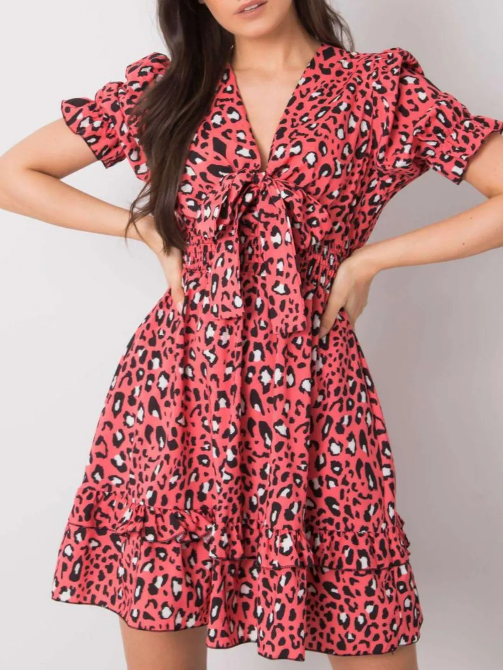 Leopard Print Tie Front Short Sleeve Mini Dress, image 4