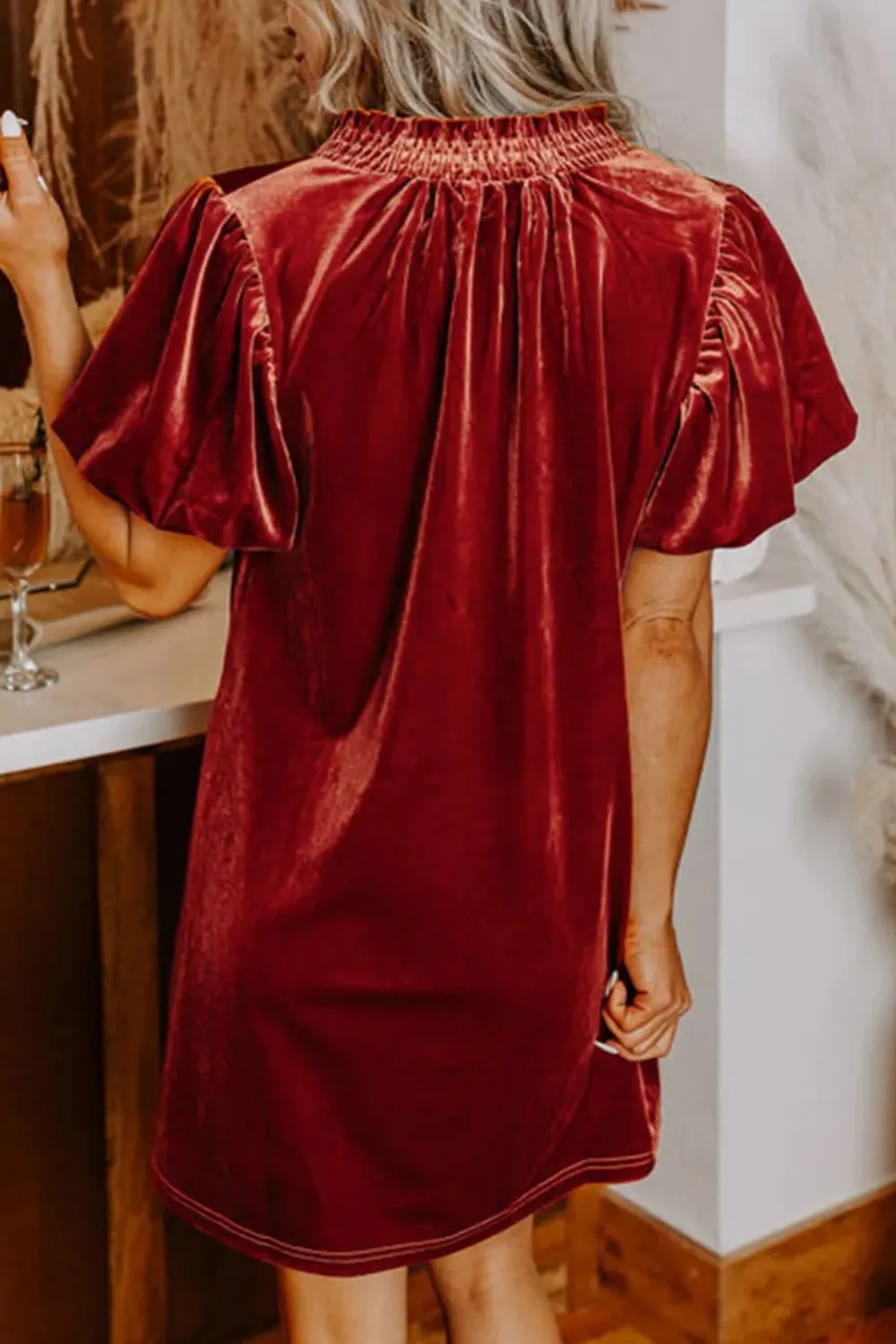Velvet Tie Neck Short Sleeve Mini Dress, image 3