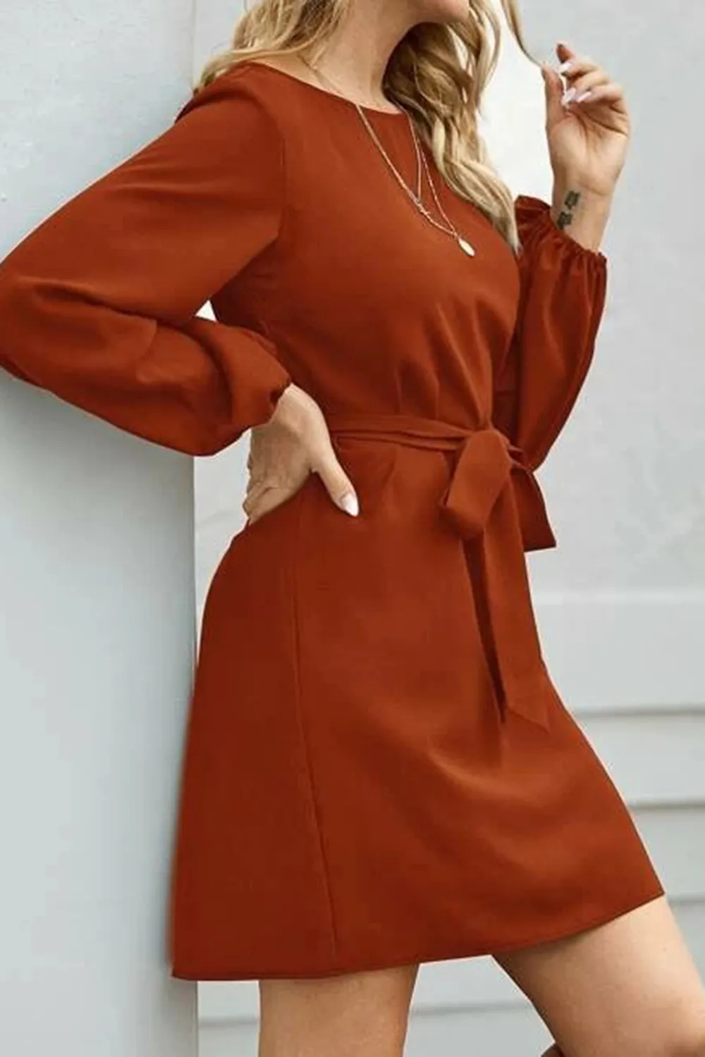 Tied Boat Neck Balloon Sleeve Mini Dress, image 31