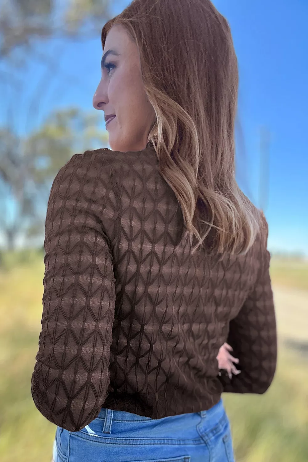 Sheer Textured Lace Stand Neck Long Sleeve Top, image 2
