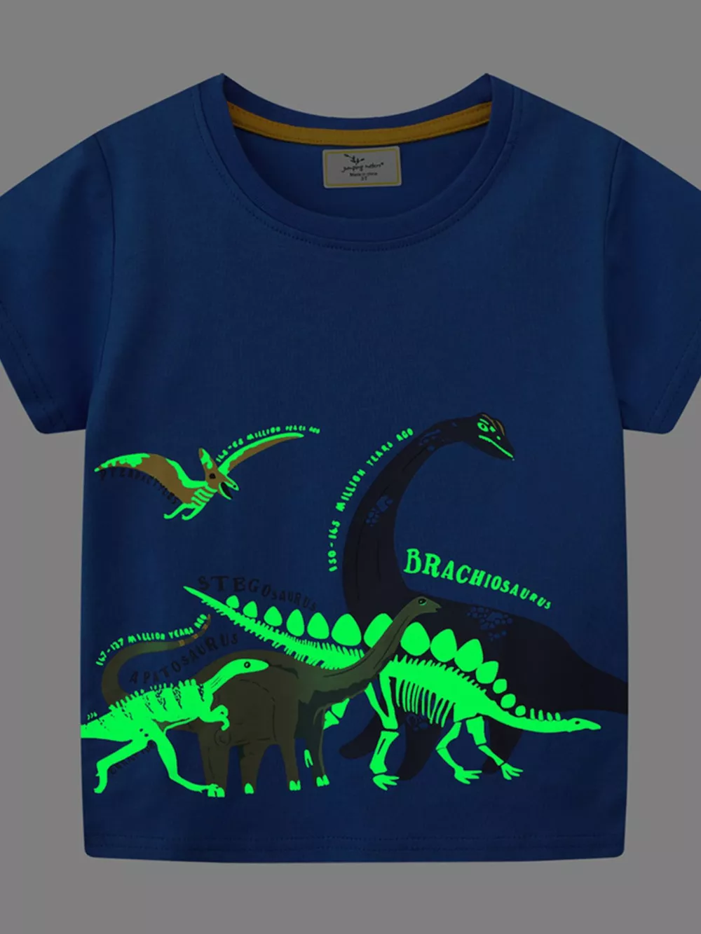 Children's Dinosaur Print Crew Neck Short Sleeve T-Shirt, image 3