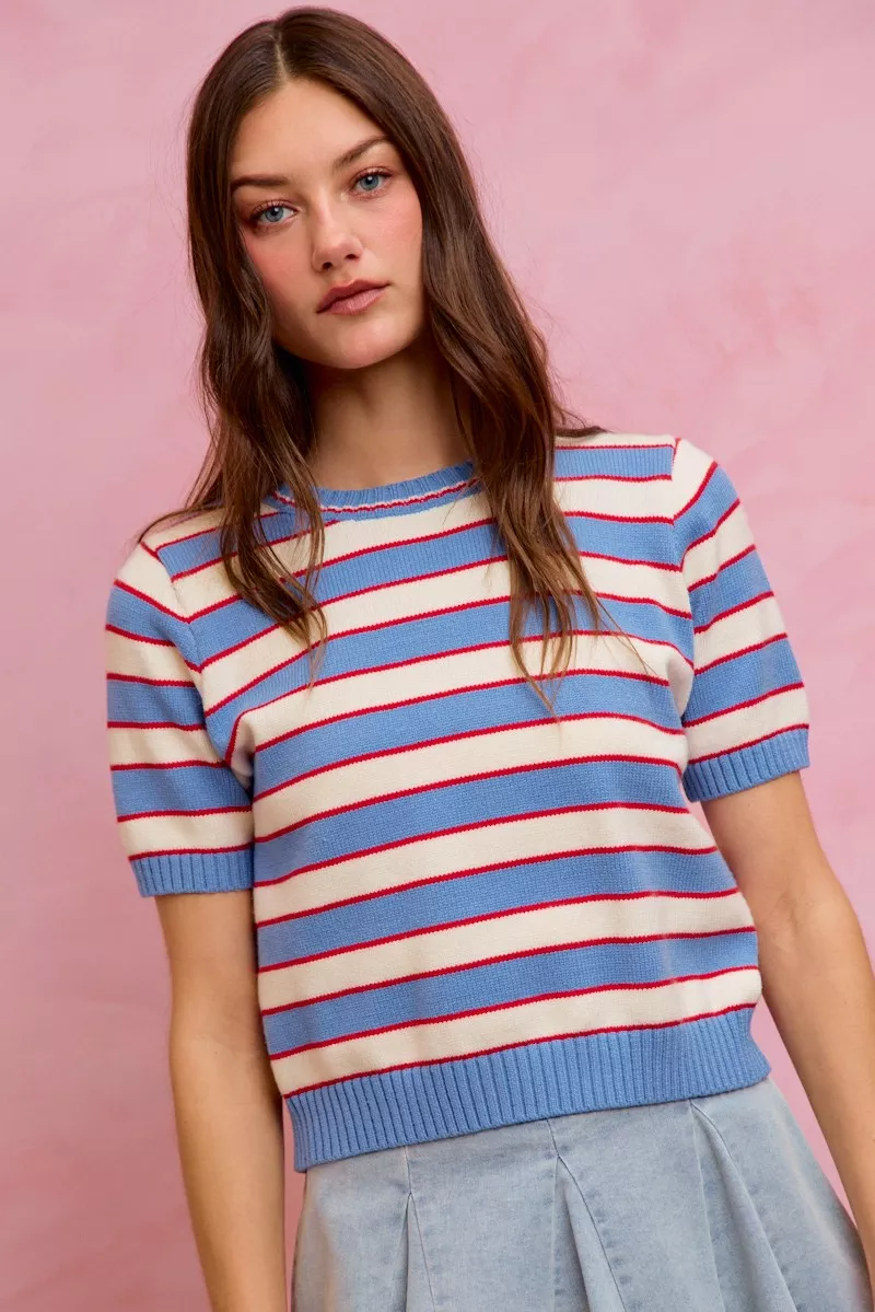 Stripe Knit Crew Neck Short Sleeves Sweater Top