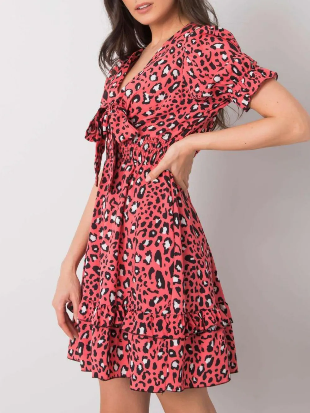 Leopard Print Tie Front Short Sleeve Mini Dress, image 5