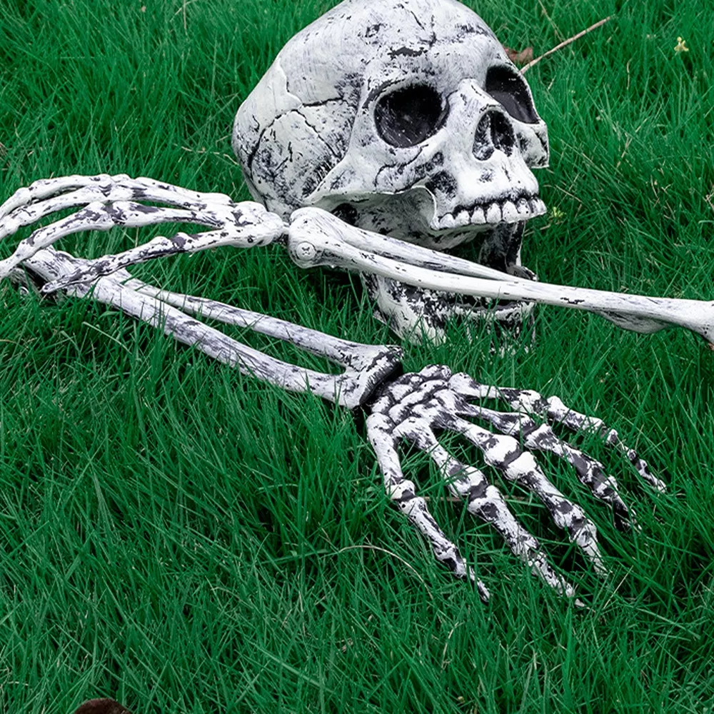 Halloween Skull and Skeleton Arms, image 5