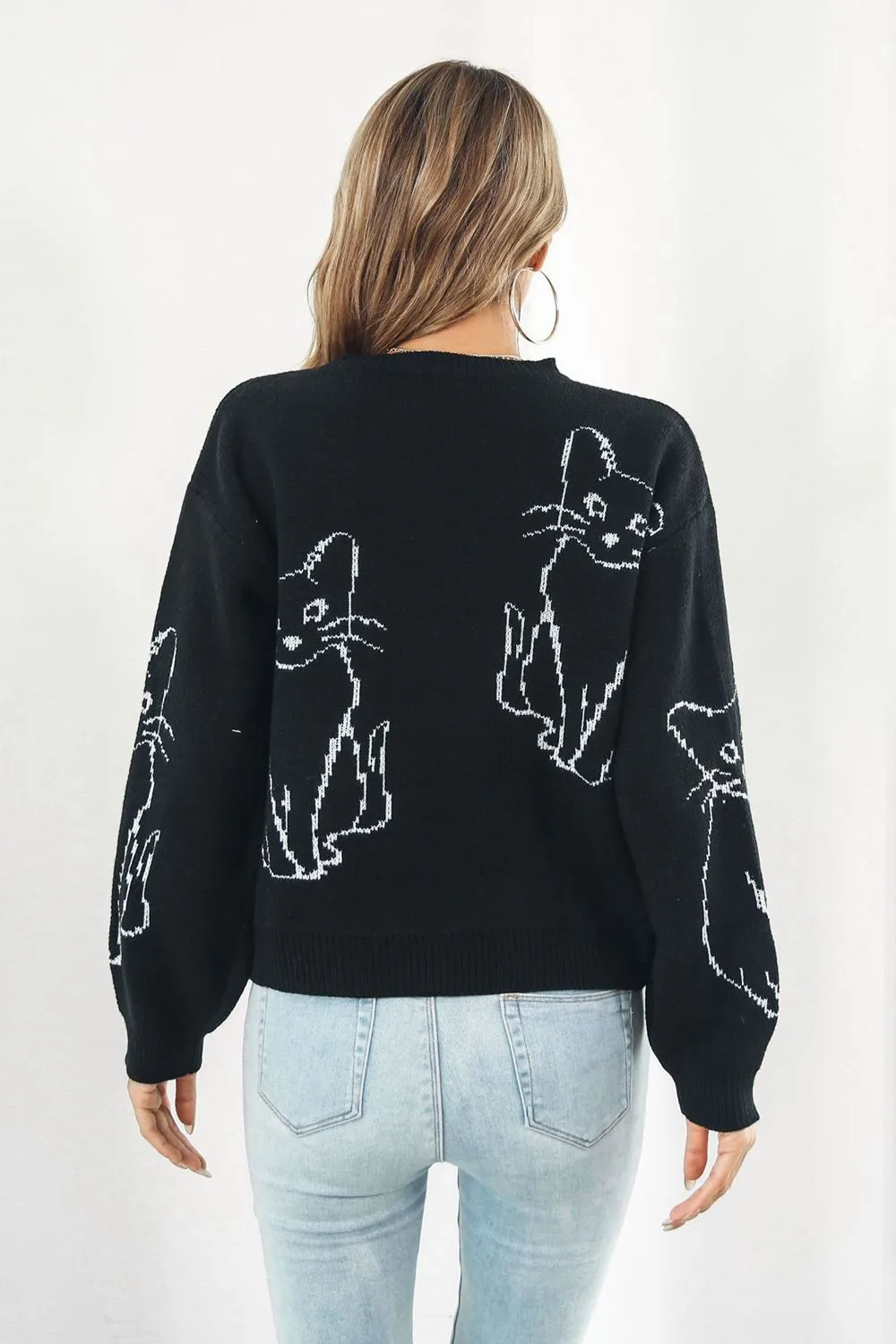 Cat Pattern Round Neck Long Sleeve Pullover Sweater, image 2