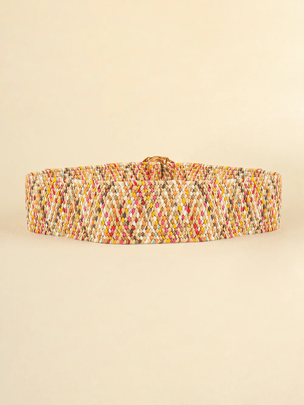 Multicolored Wide Belt, image 2