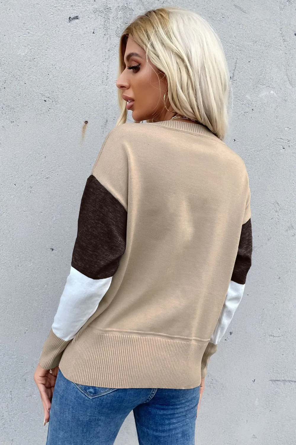 Color Block Ribbed Trim Round Neck Knit Pullover, image 11