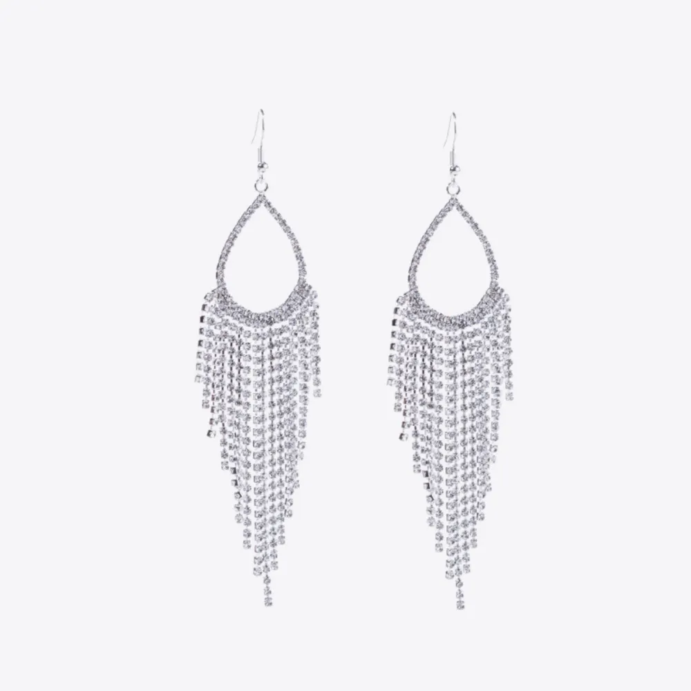 Alloy Dangle Earrings, image 2