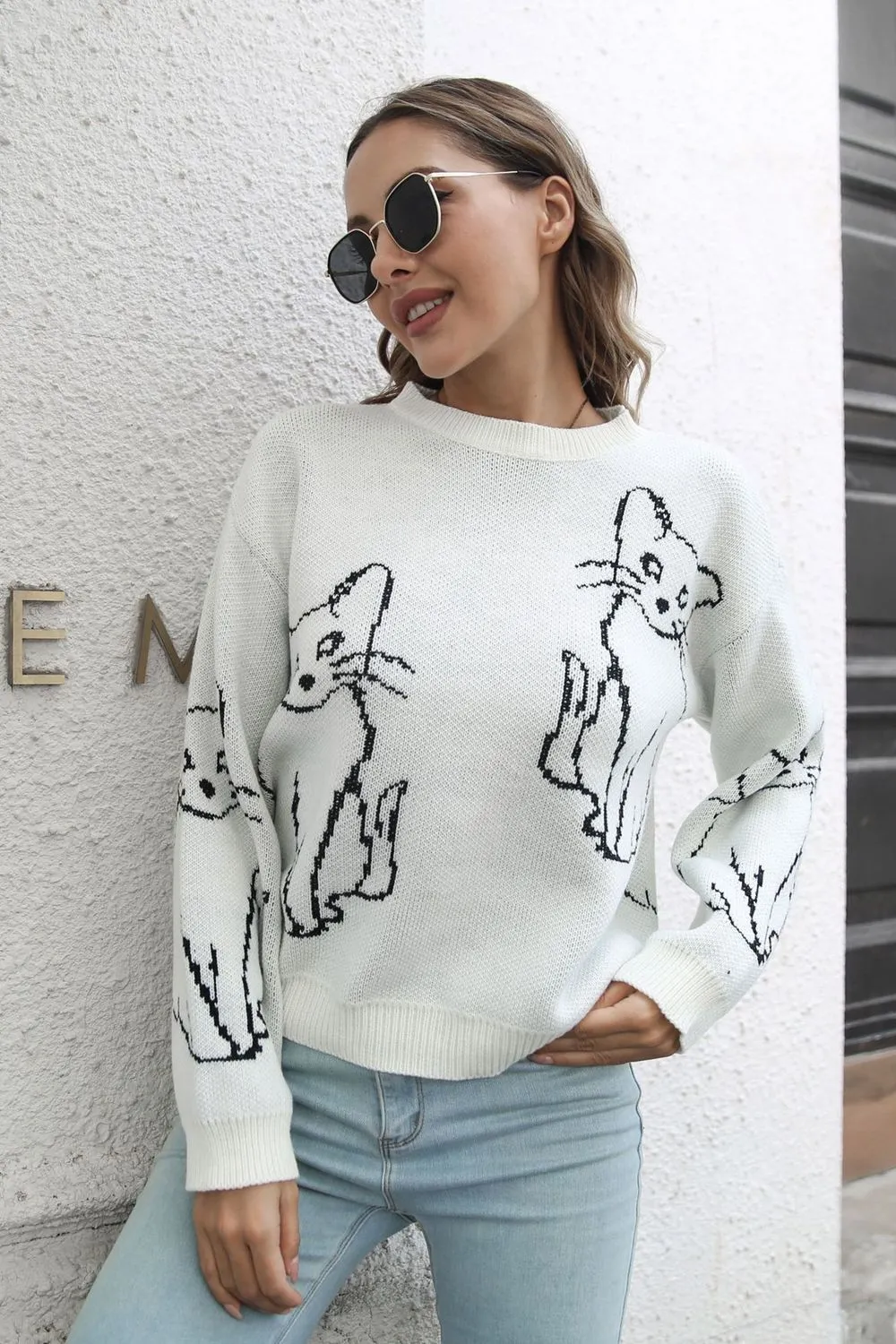 Cat Pattern Round Neck Long Sleeve Pullover Sweater, image 12