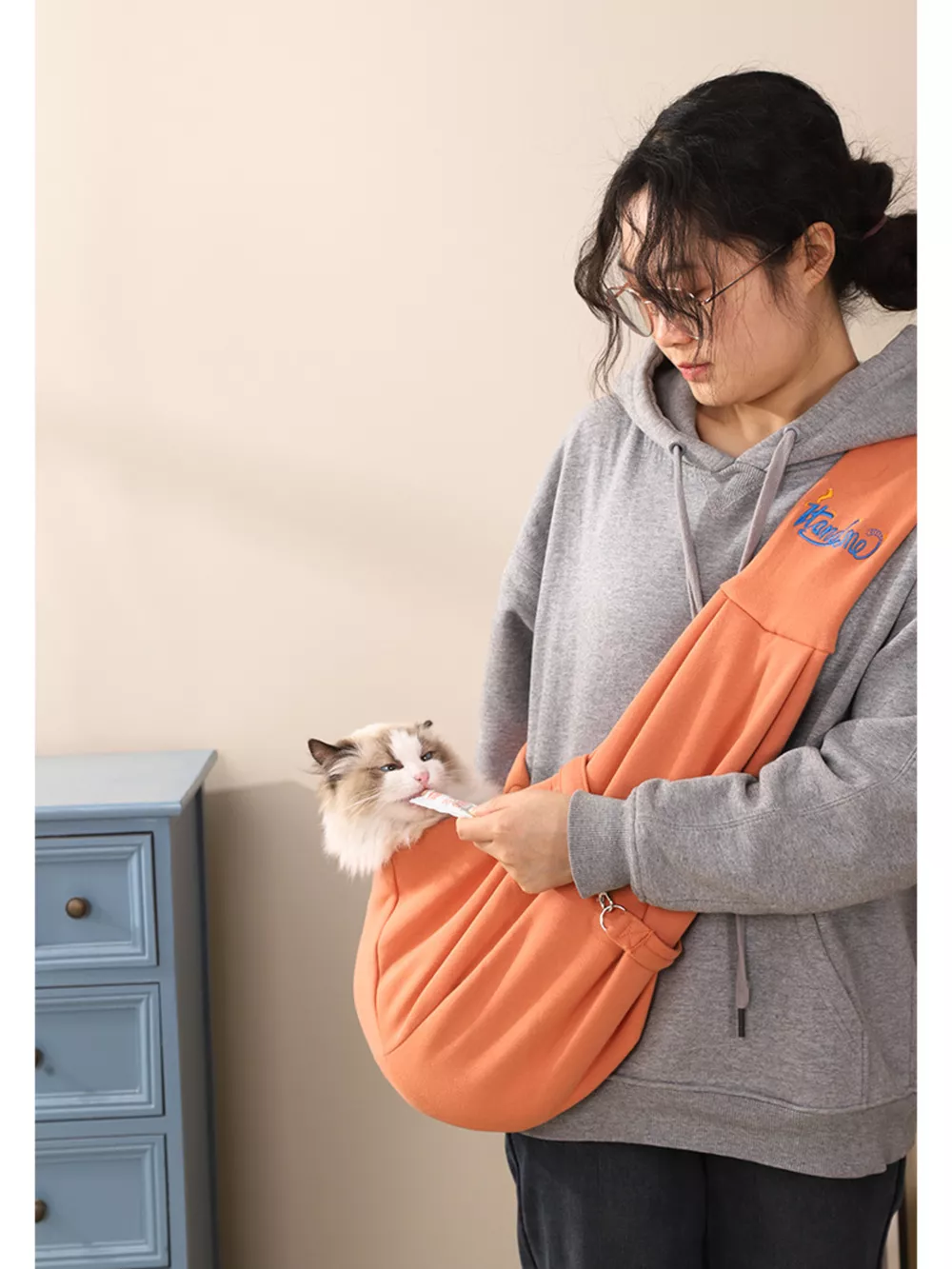 Comfortable Pet Carrier Sling Bag, image 3