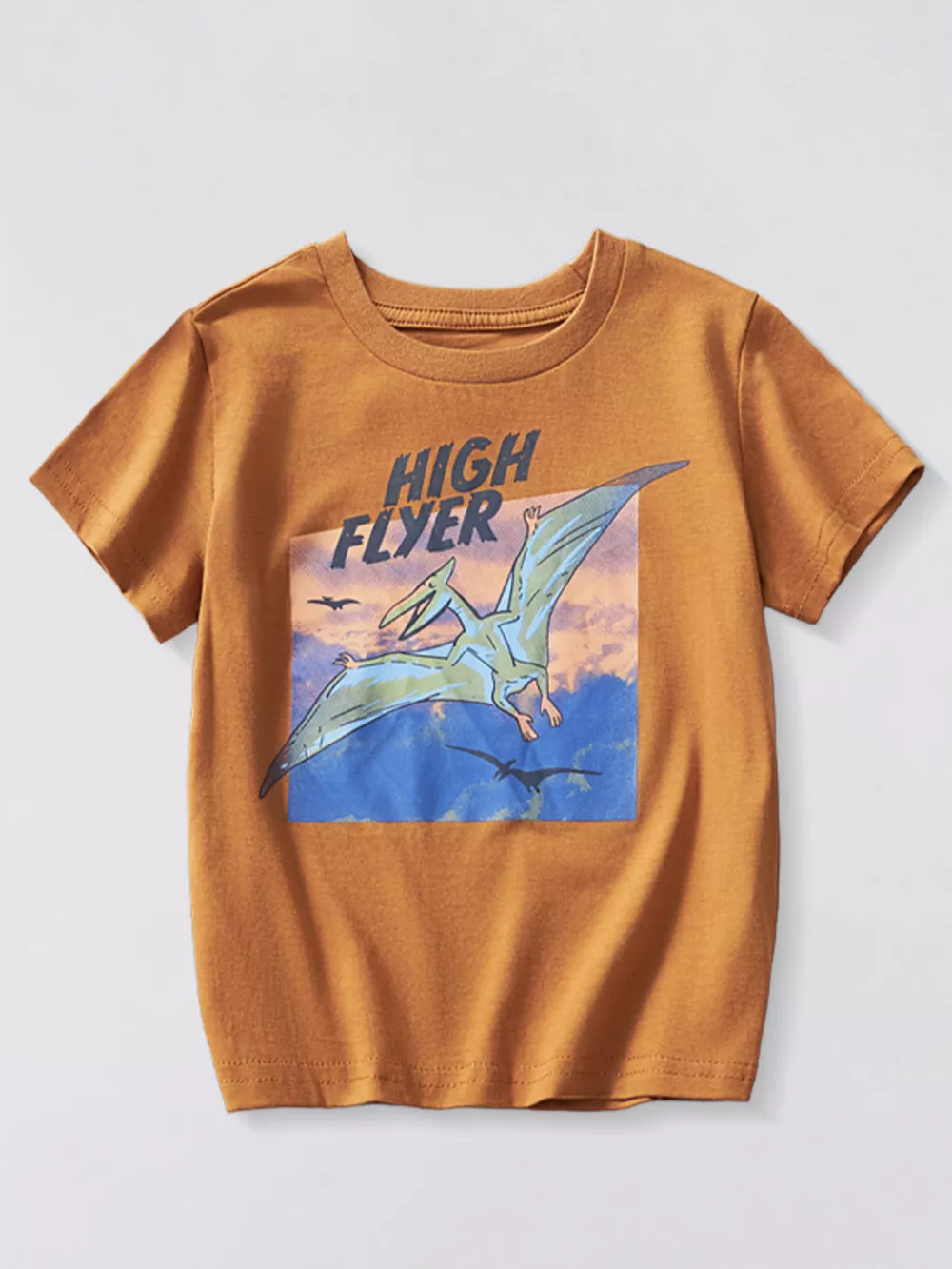 Children's Dinosaur Triceratops Graphic T-Shirt, image 4