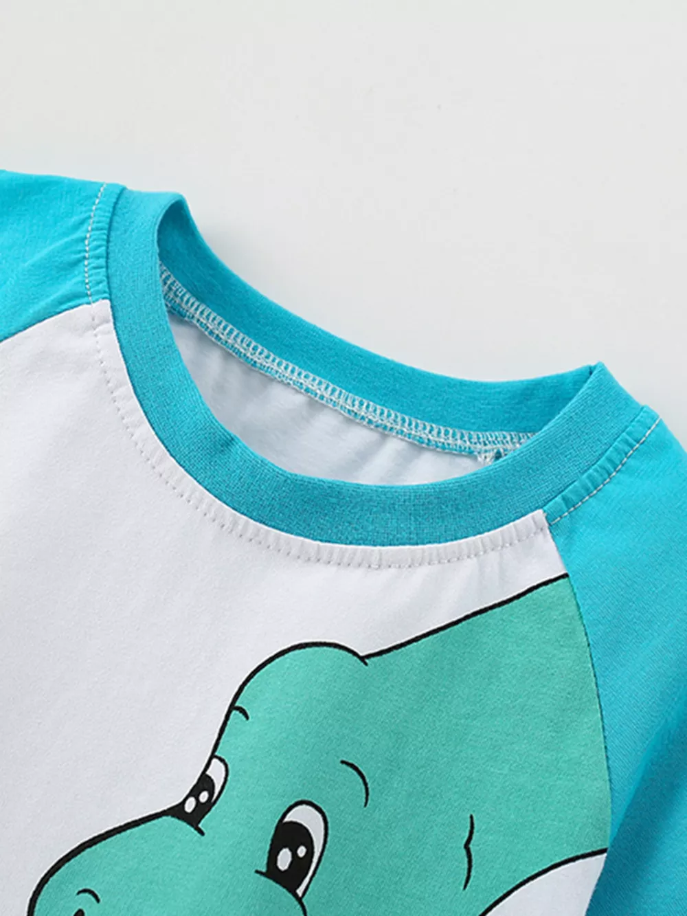 Children's Dinosaur Raglan Sleeve T-Shirt, image 3