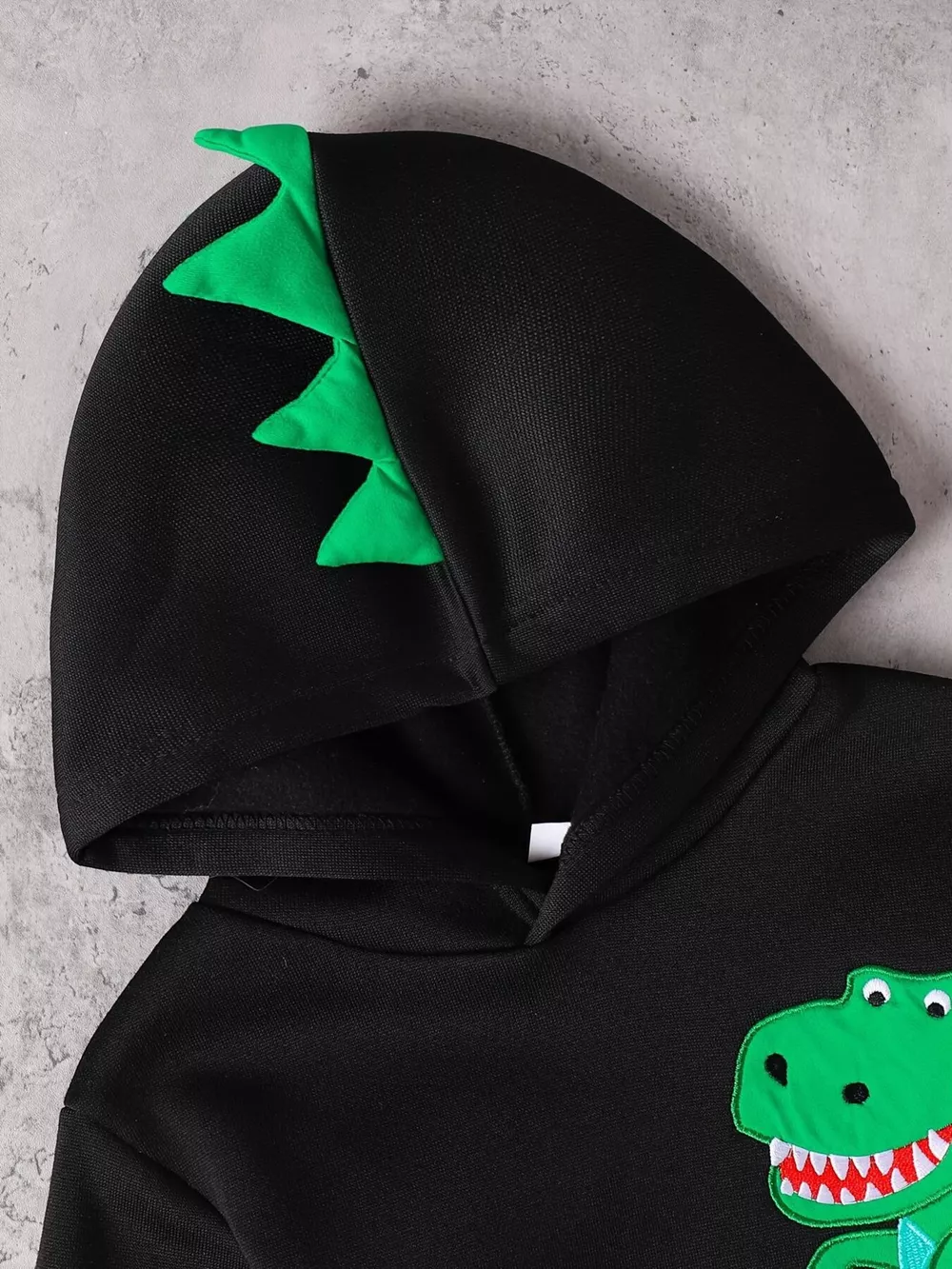 Children's Dinosaur Graphic Hoodie & Pants Set, image 3