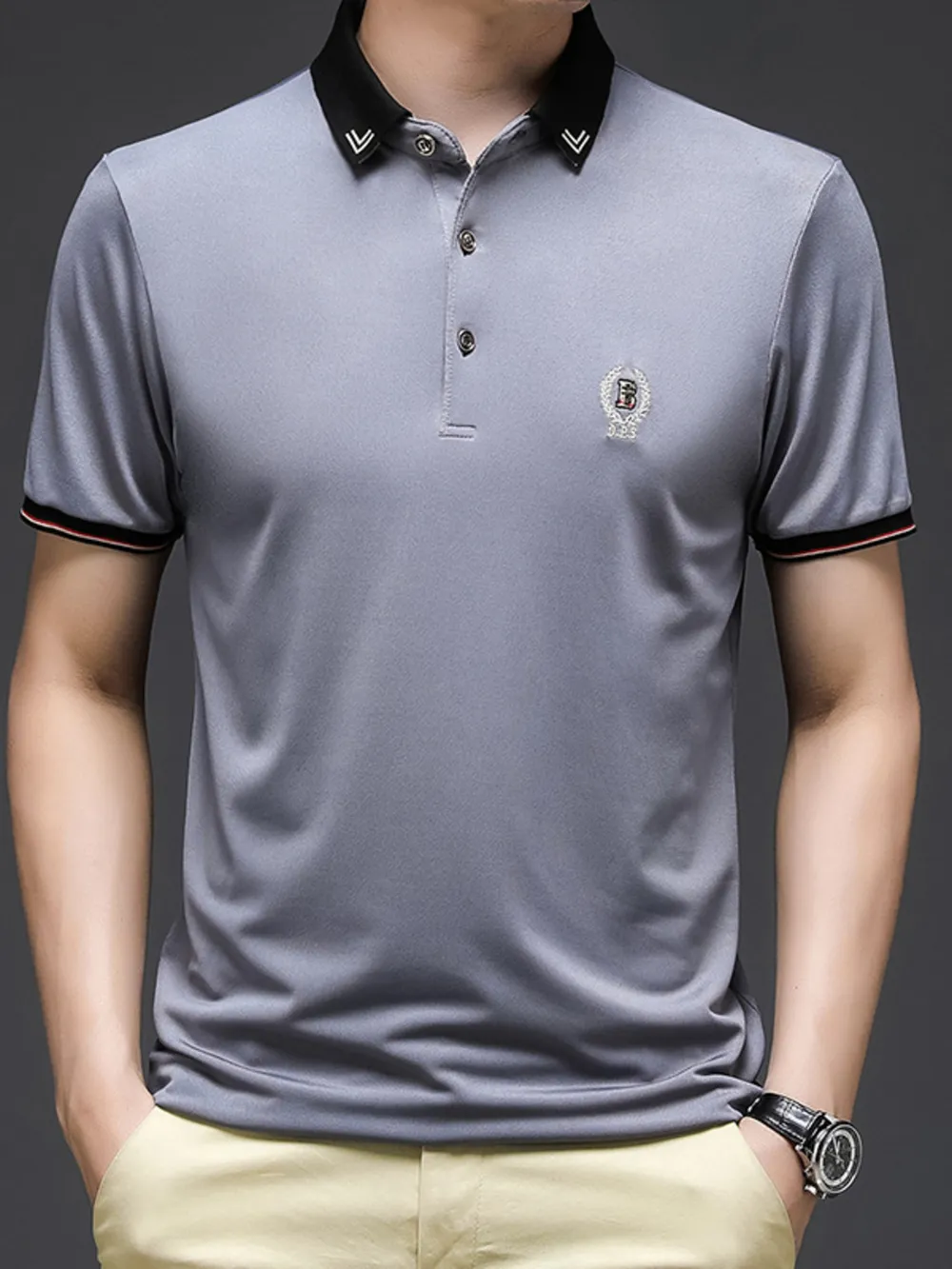Men's Plus Size Short Sleeve Collar Polo Shirt, image 2