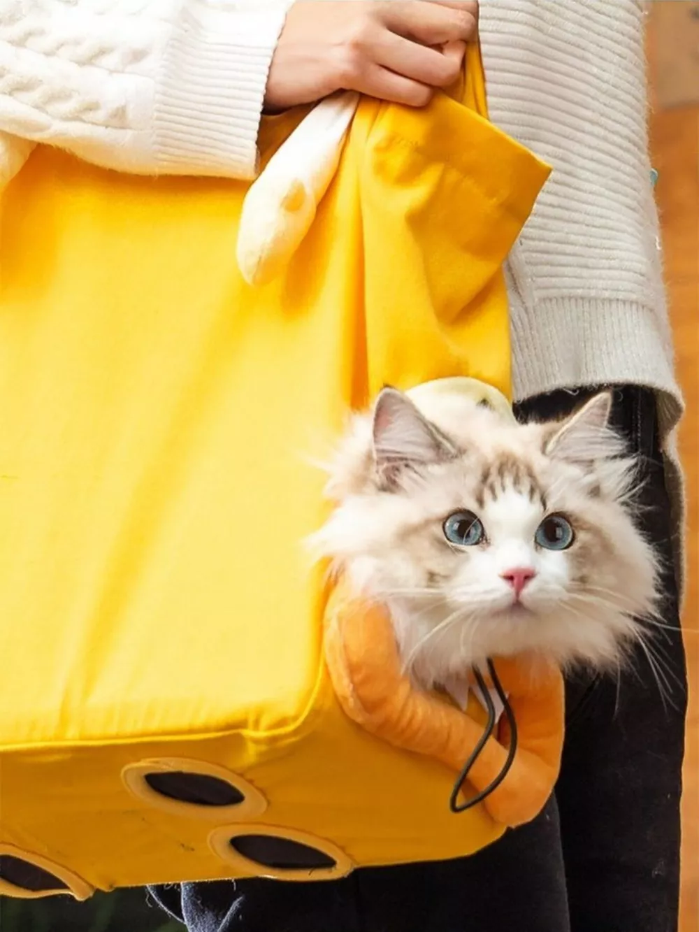 Portable Breathable Pet Bag, image 4