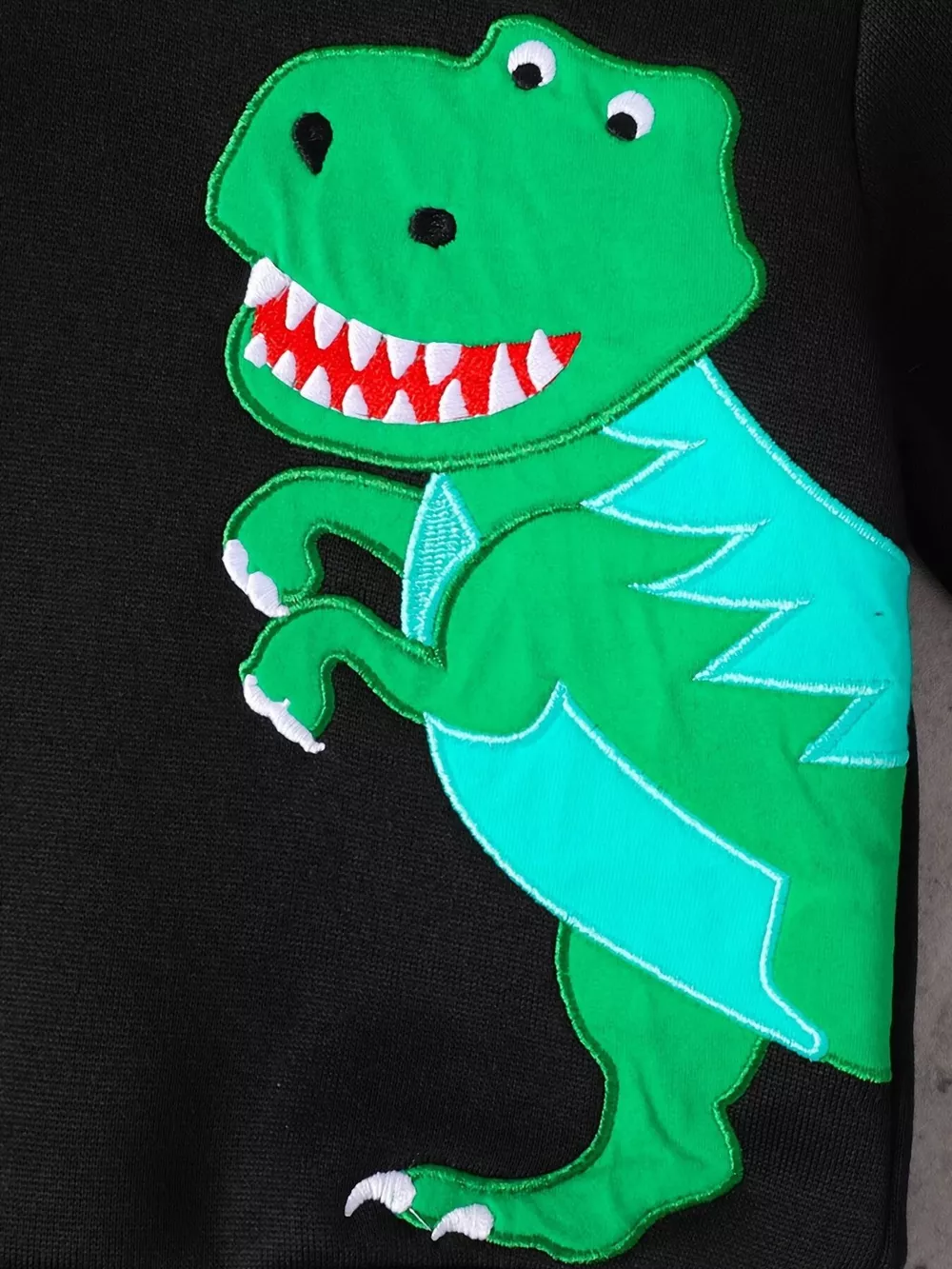 Children's Dinosaur Graphic Hoodie & Pants Set, image 4