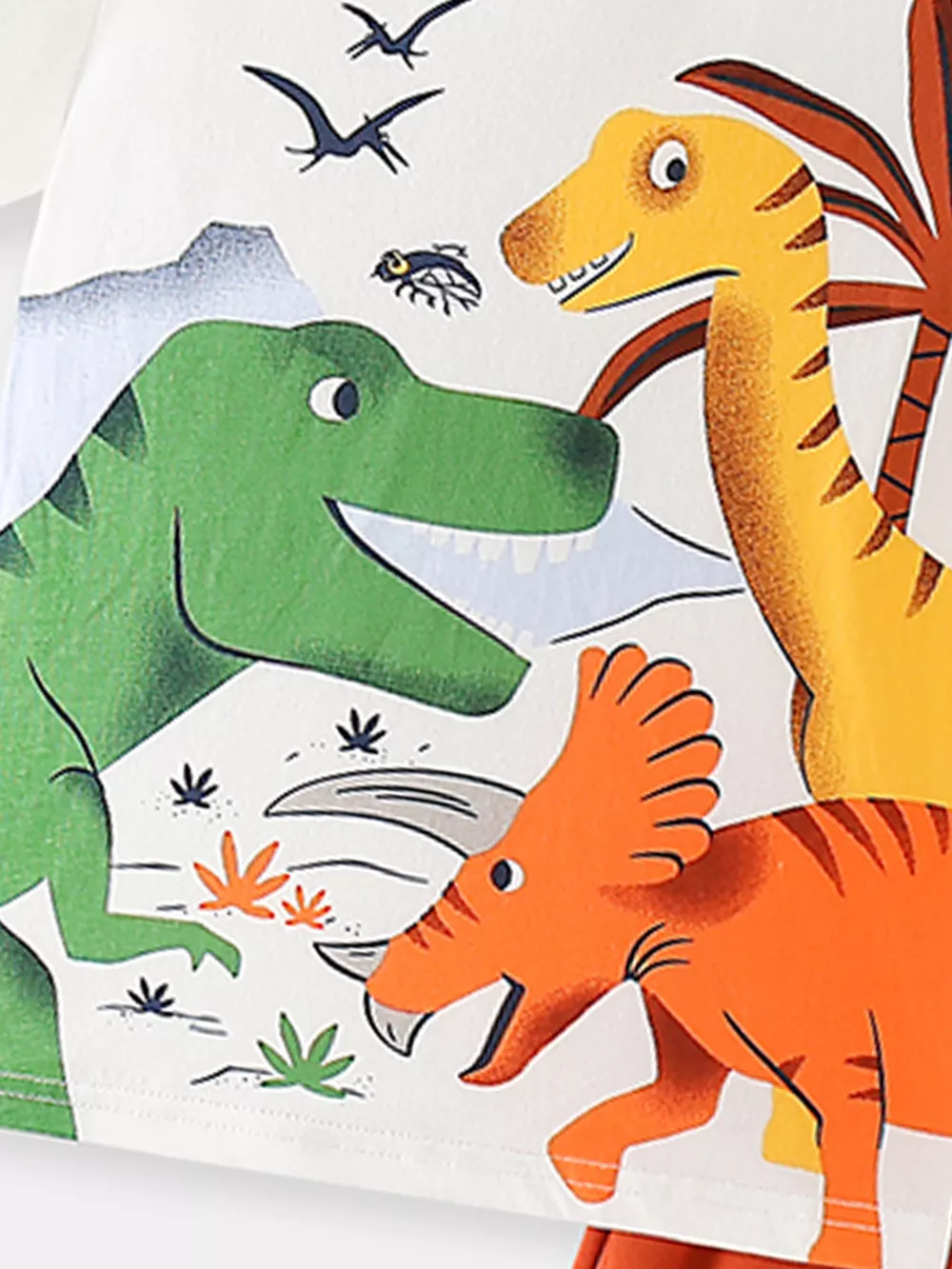 Children's Dinosaur Print Short Sleeve Tee and Shorts Set, image 4