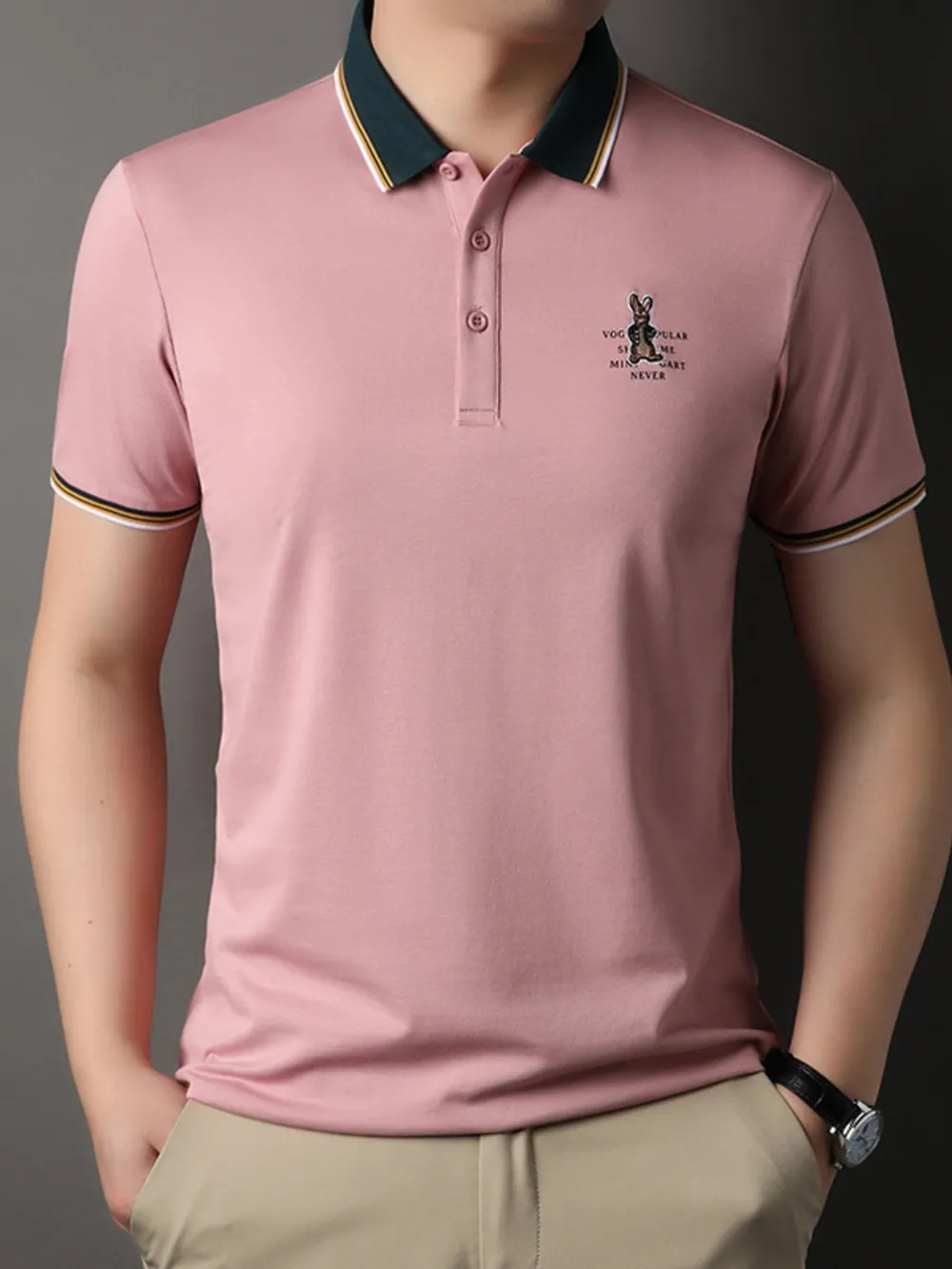 Men's Plus Size Collared Neck Short Sleeve Polo, image 2