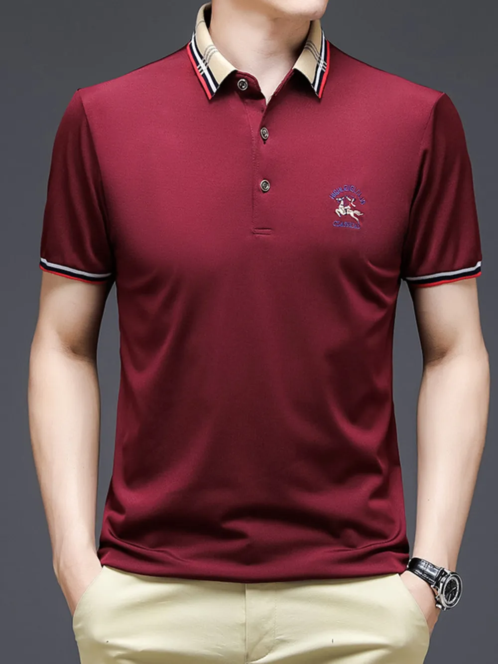 Men's Plus Size Striped Collar Short Sleeve Polo Shirt, image 2