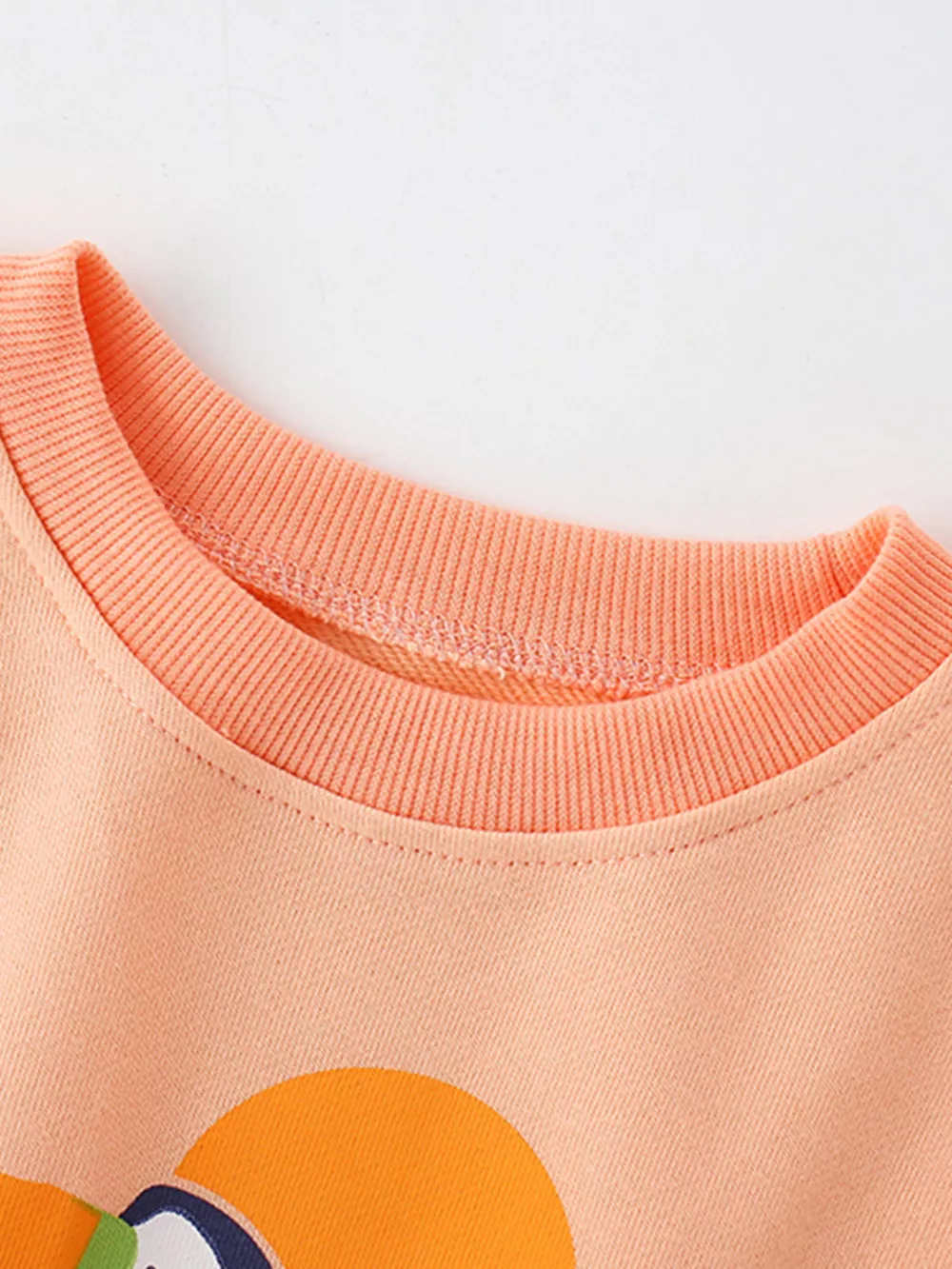 Children's Bird Graphic Crew Neck Sweatshirt, image 5