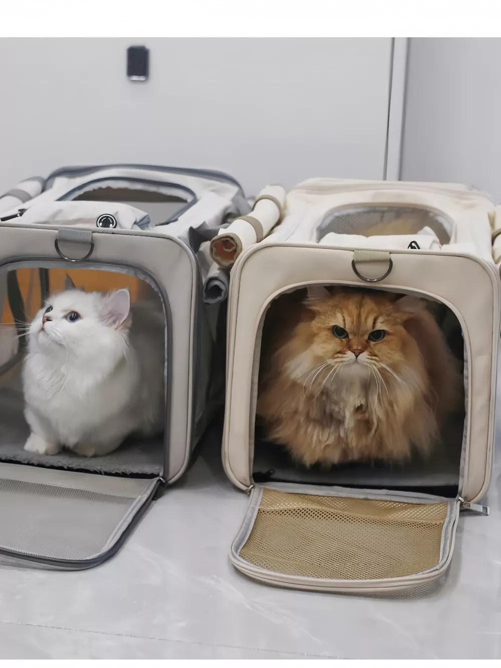 Comfortable Breathable Pet Carrier Bag, image 7